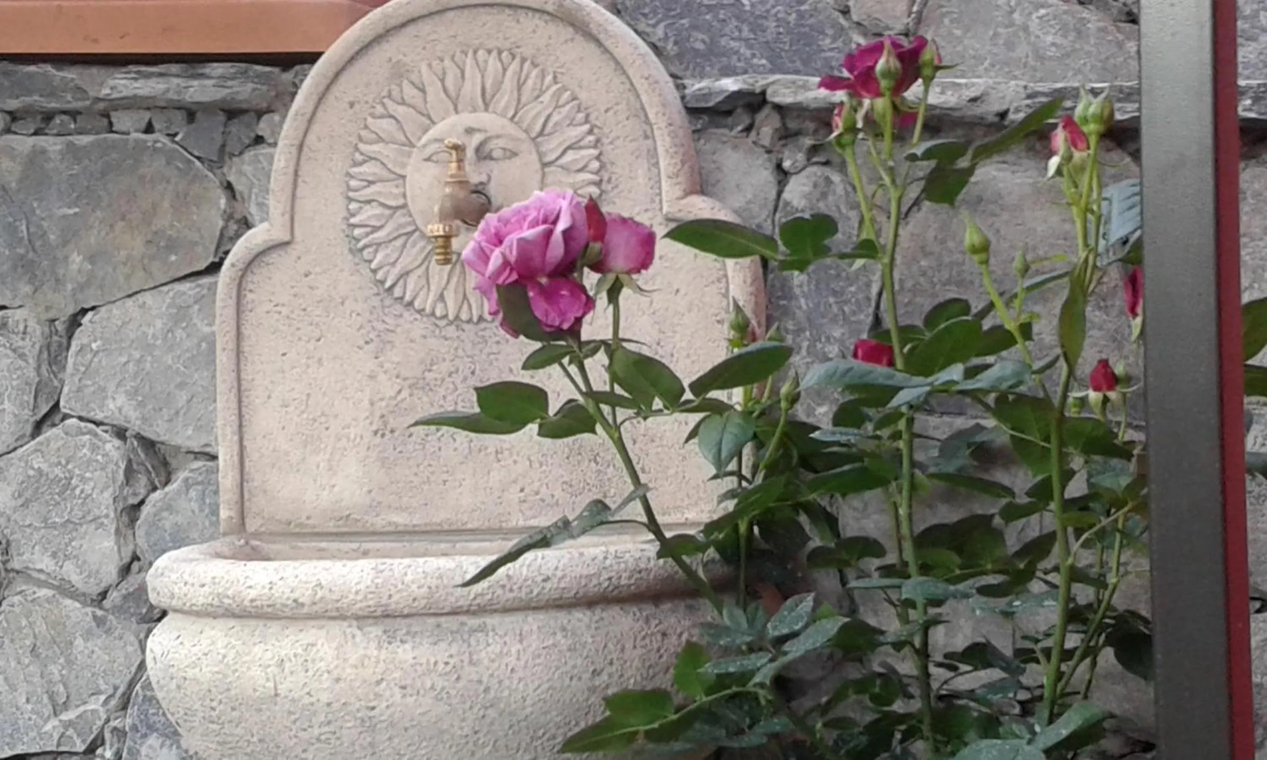 Garden in Dreams Guest House