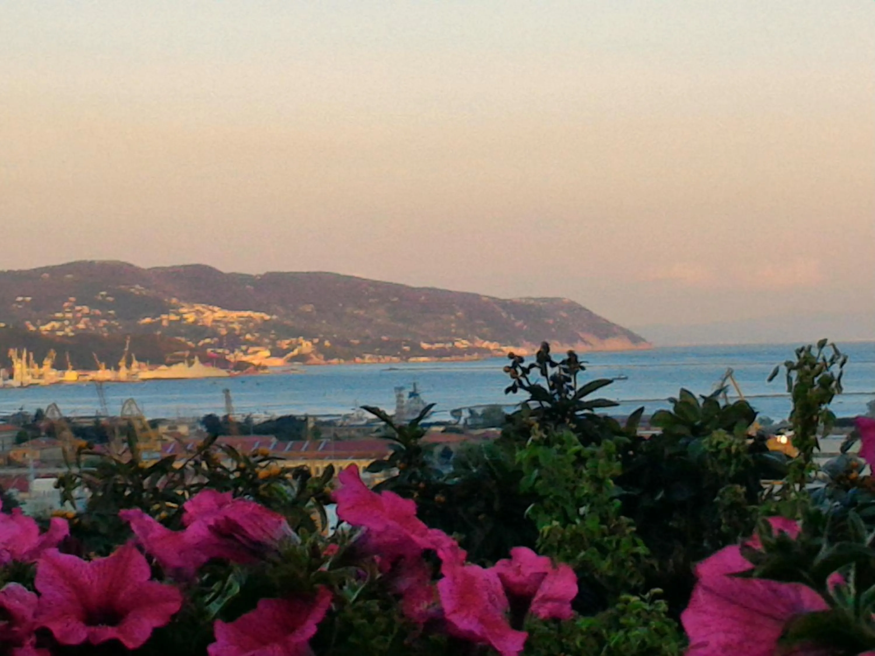 Balcony/Terrace in Dreams Guest House