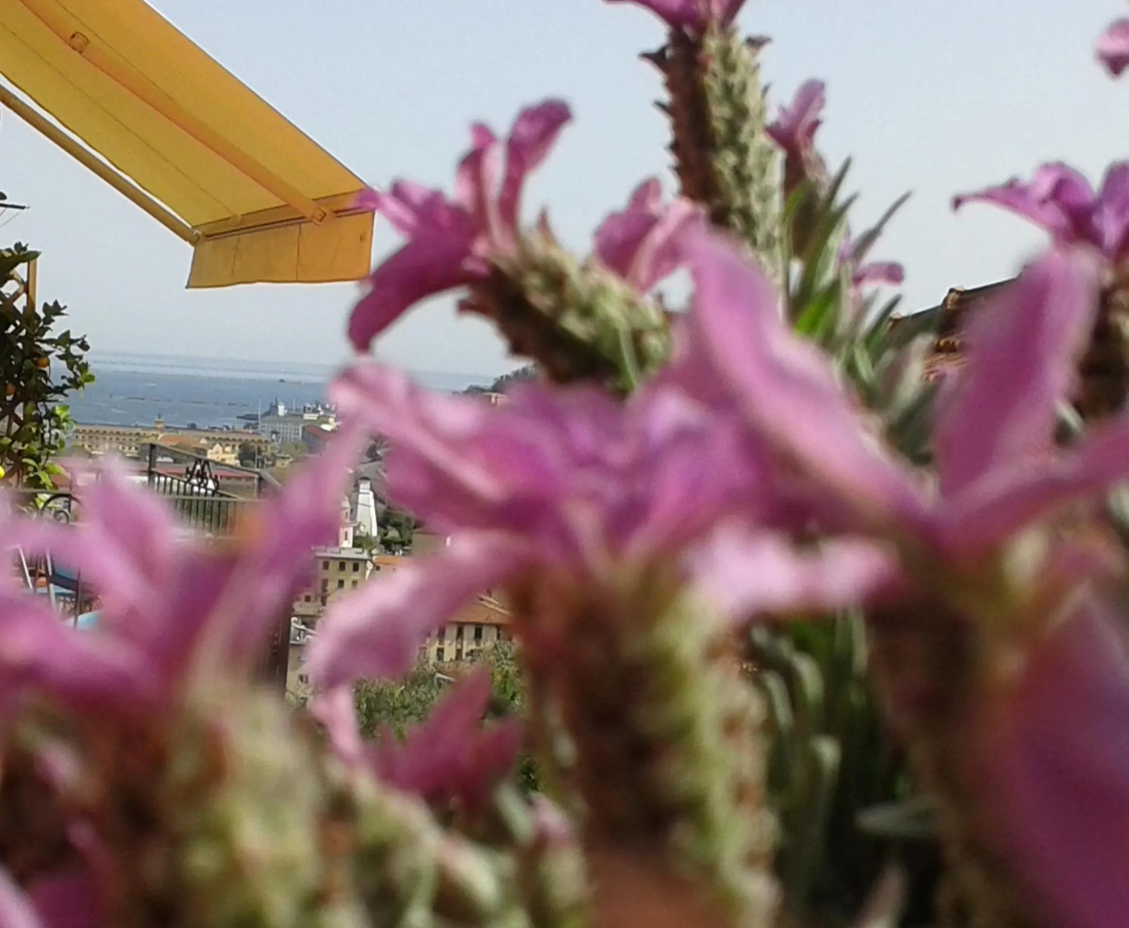 Decorative detail in Dreams Guest House