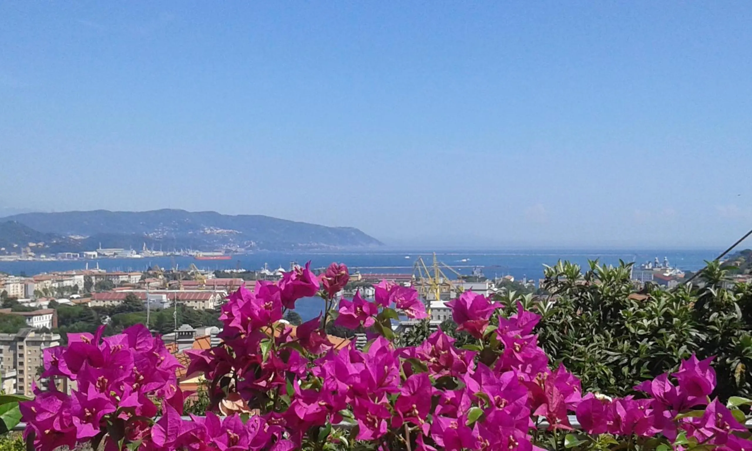 Balcony/Terrace in Dreams Guest House