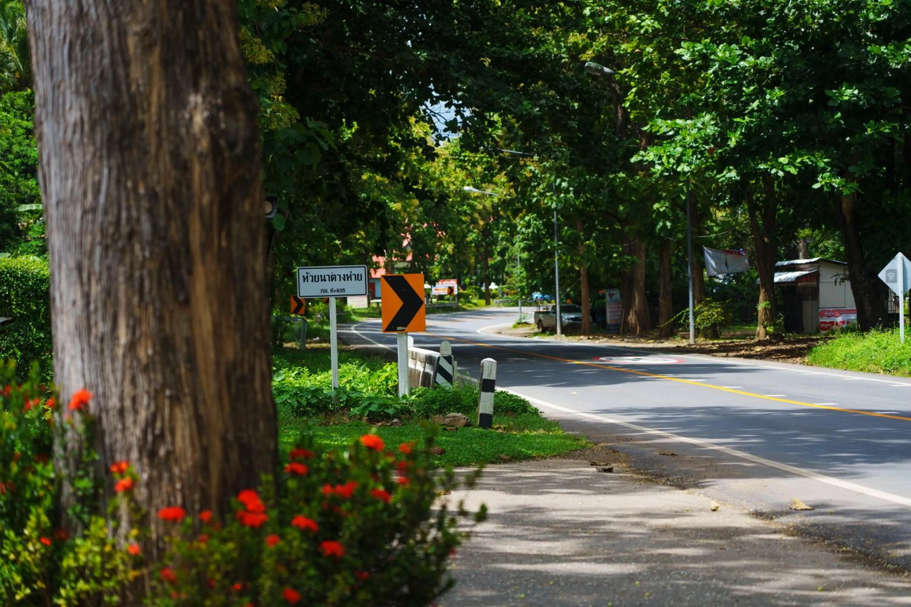 Neighbourhood in Doi Inthanon View Resort