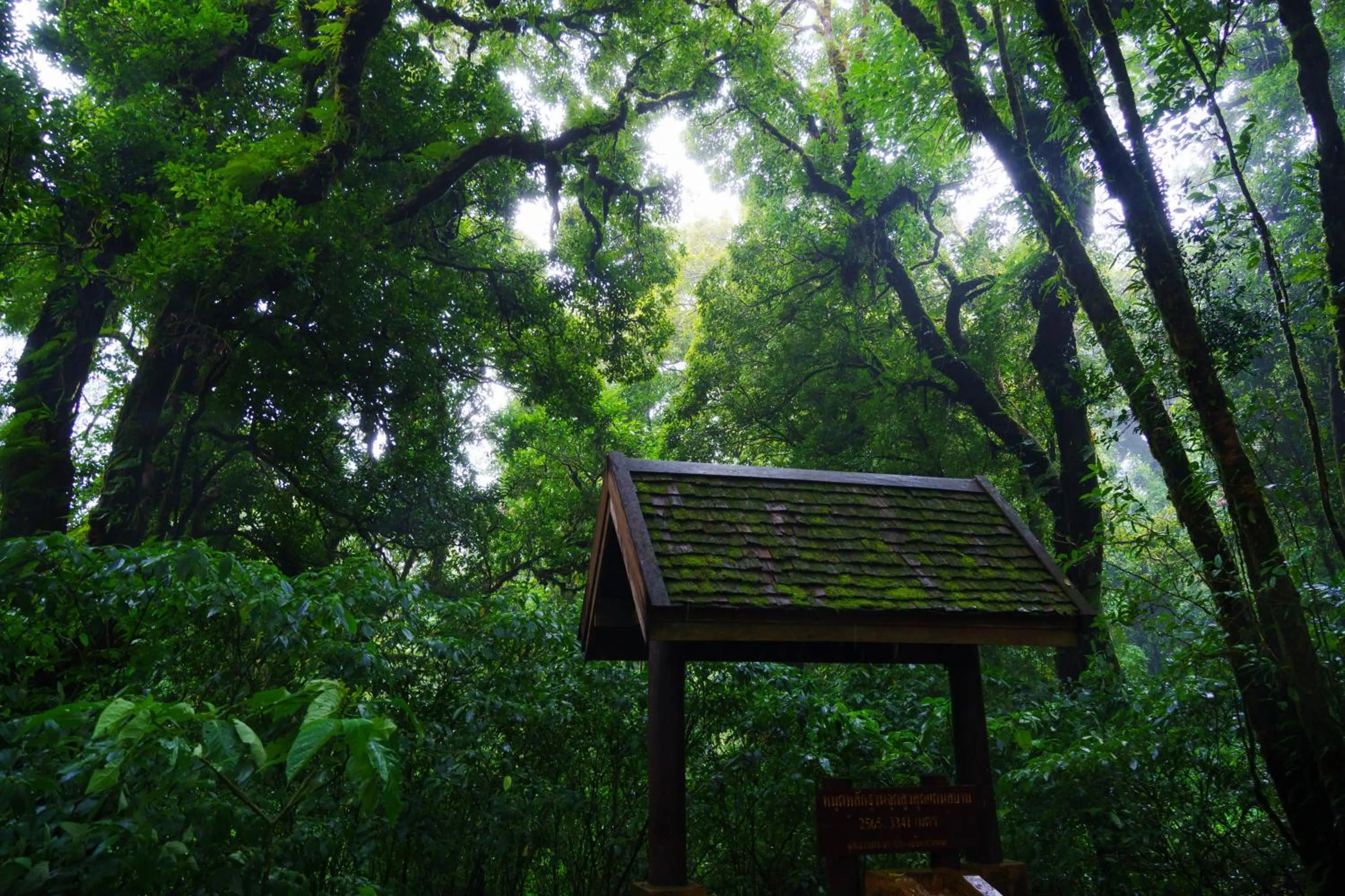 Nearby landmark in Doi Inthanon View Resort