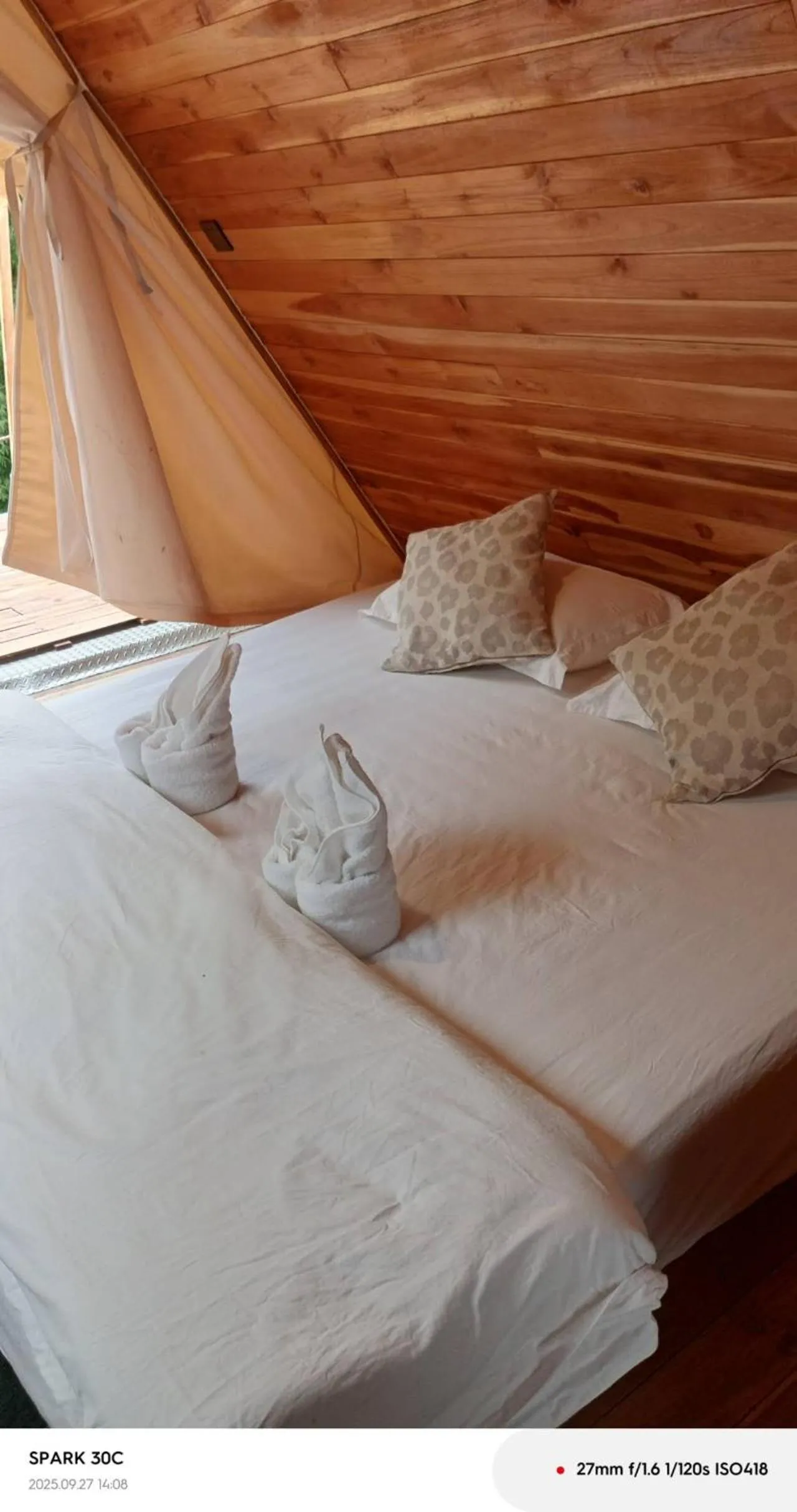 Bed in Mimosa Backpackers Hostel