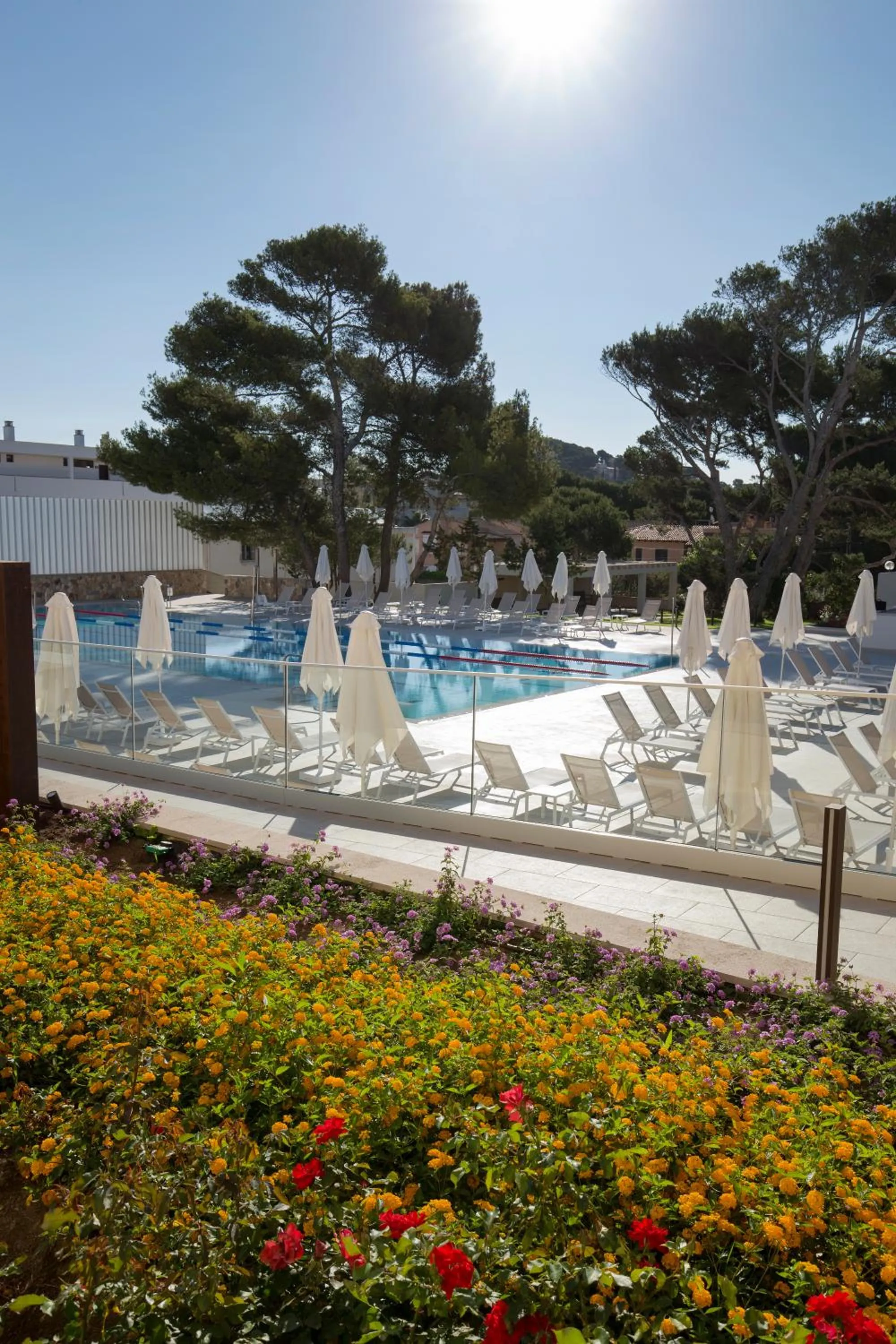 Swimming pool in Hotel Bella Playa & Spa