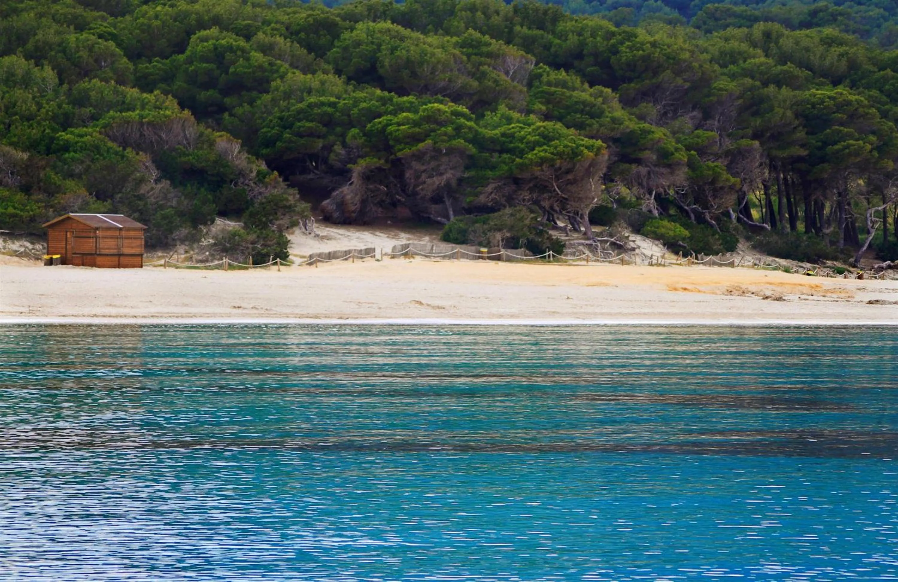 Area and facilities in Hotel Bella Playa & Spa