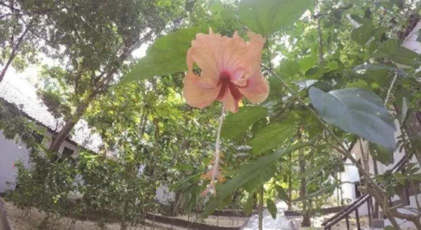 Perhentian Tivoli Inn