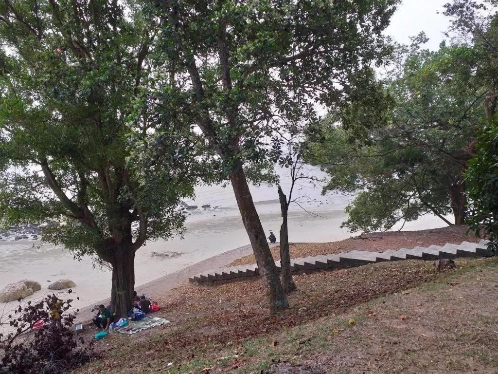 Mynubeholidays - NTCPD