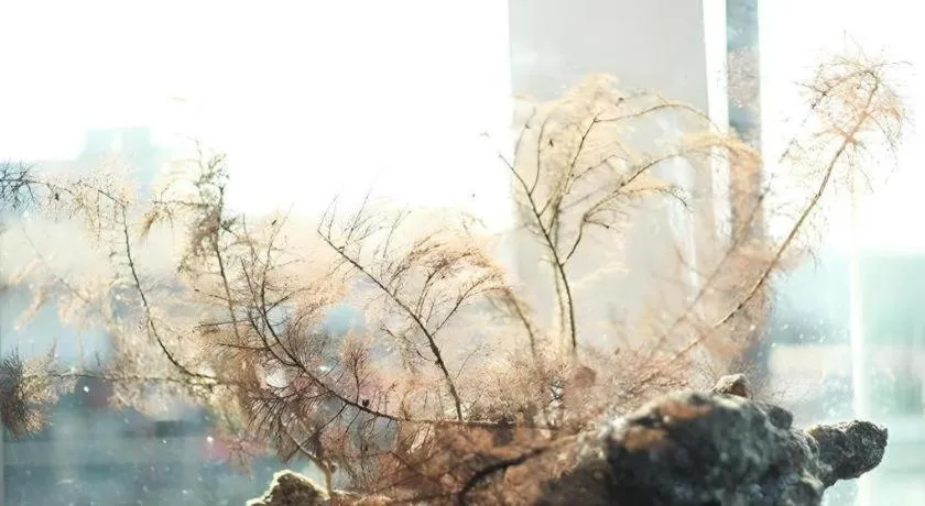 The Happy 8 Retreat @ Kuala Sepetang