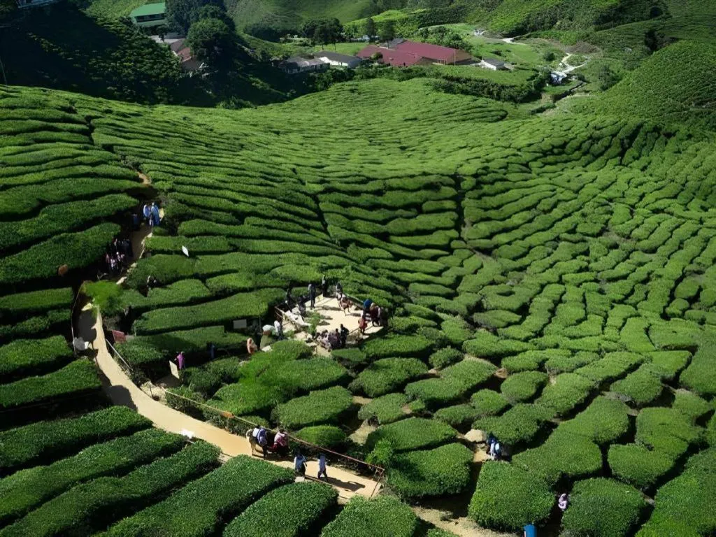 Camlodge Budget Hotel