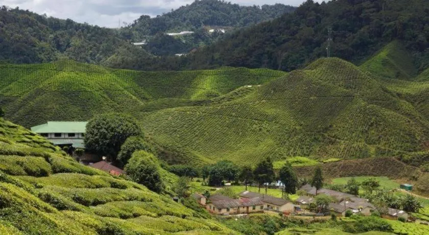 Camlodge Budget Hotel