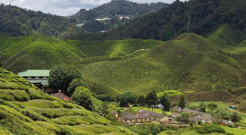 Camlodge Budget Hotel