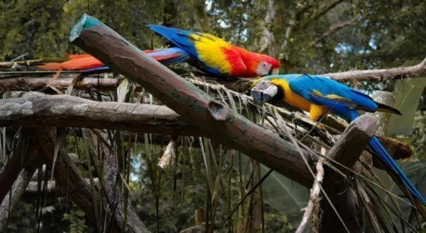 Hotel Kobemas Melaka