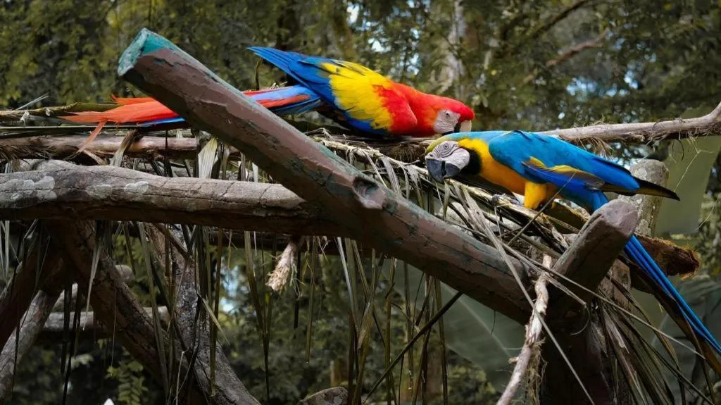 Hotel Kobemas Melaka