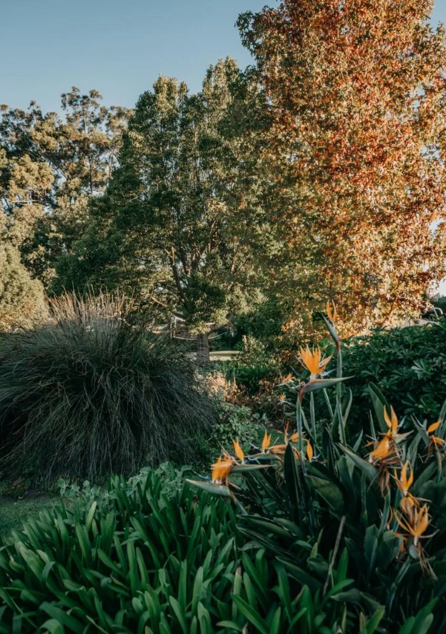 Natural landscape in The Village Lodge