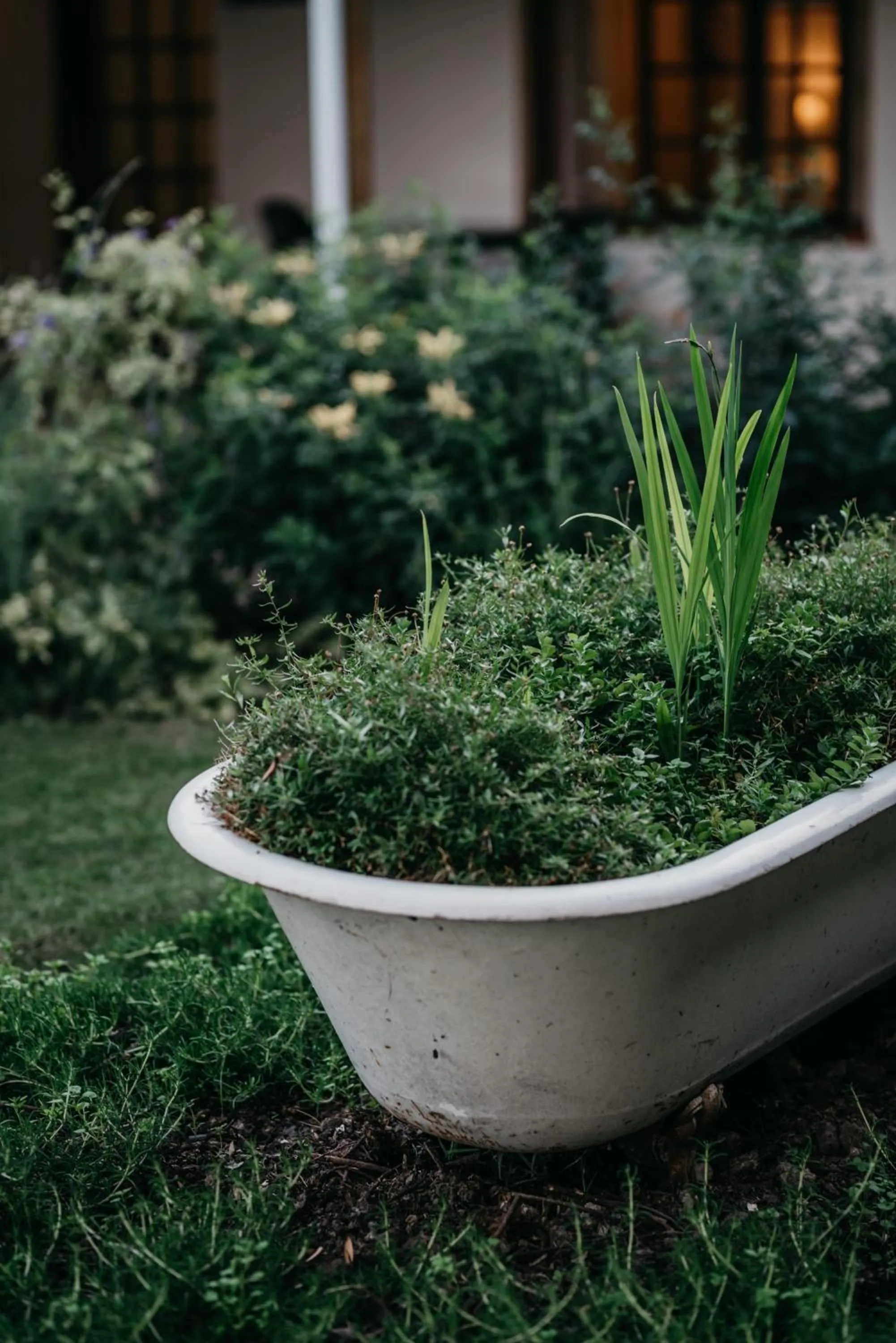 Garden in The Village Lodge