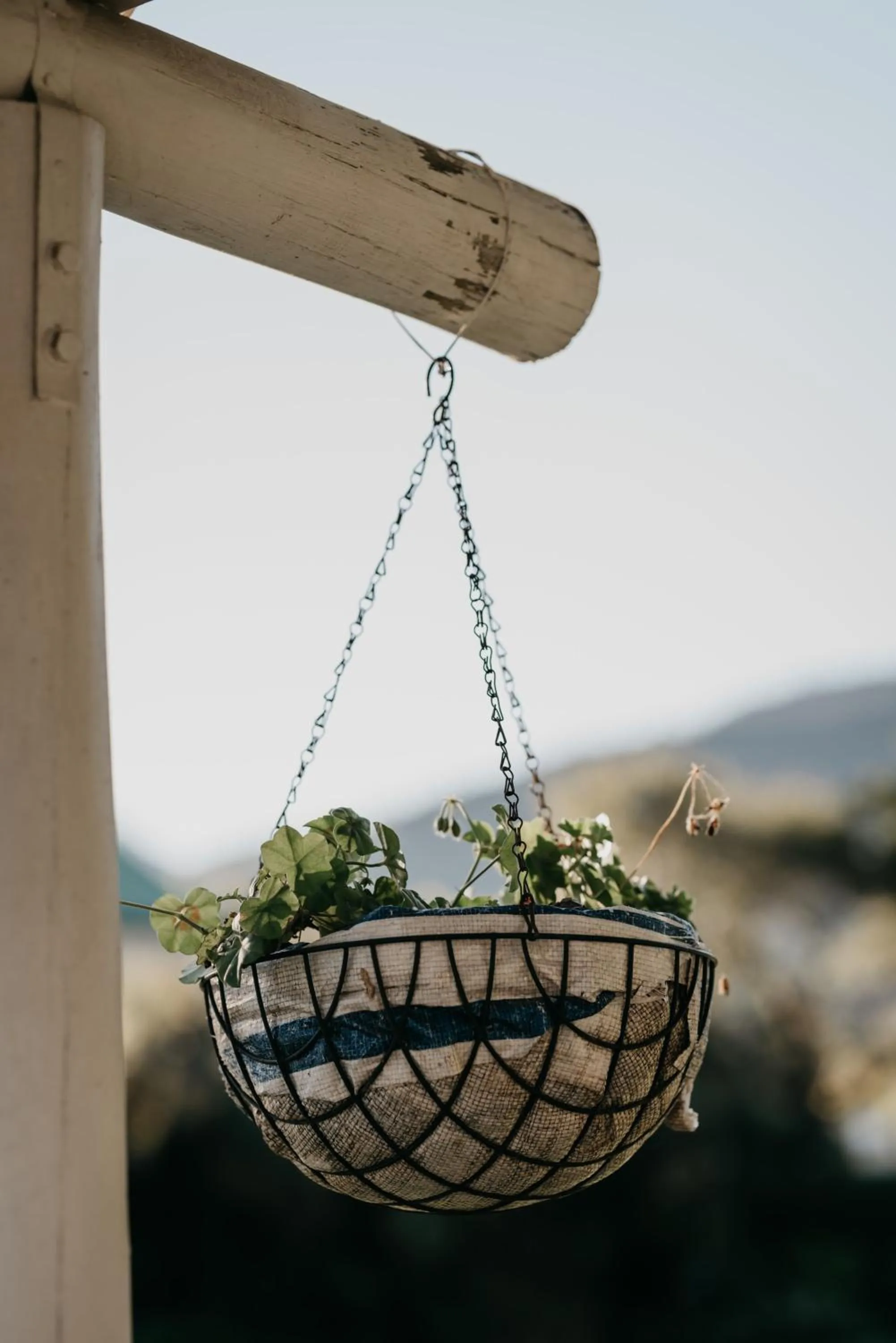 Decorative detail in The Village Lodge