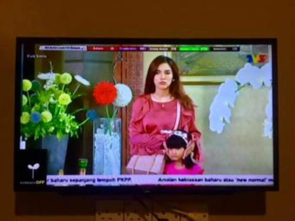 RAINFOREST Budget Stay