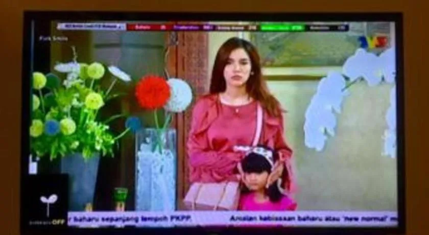 RAINFOREST Budget Stay