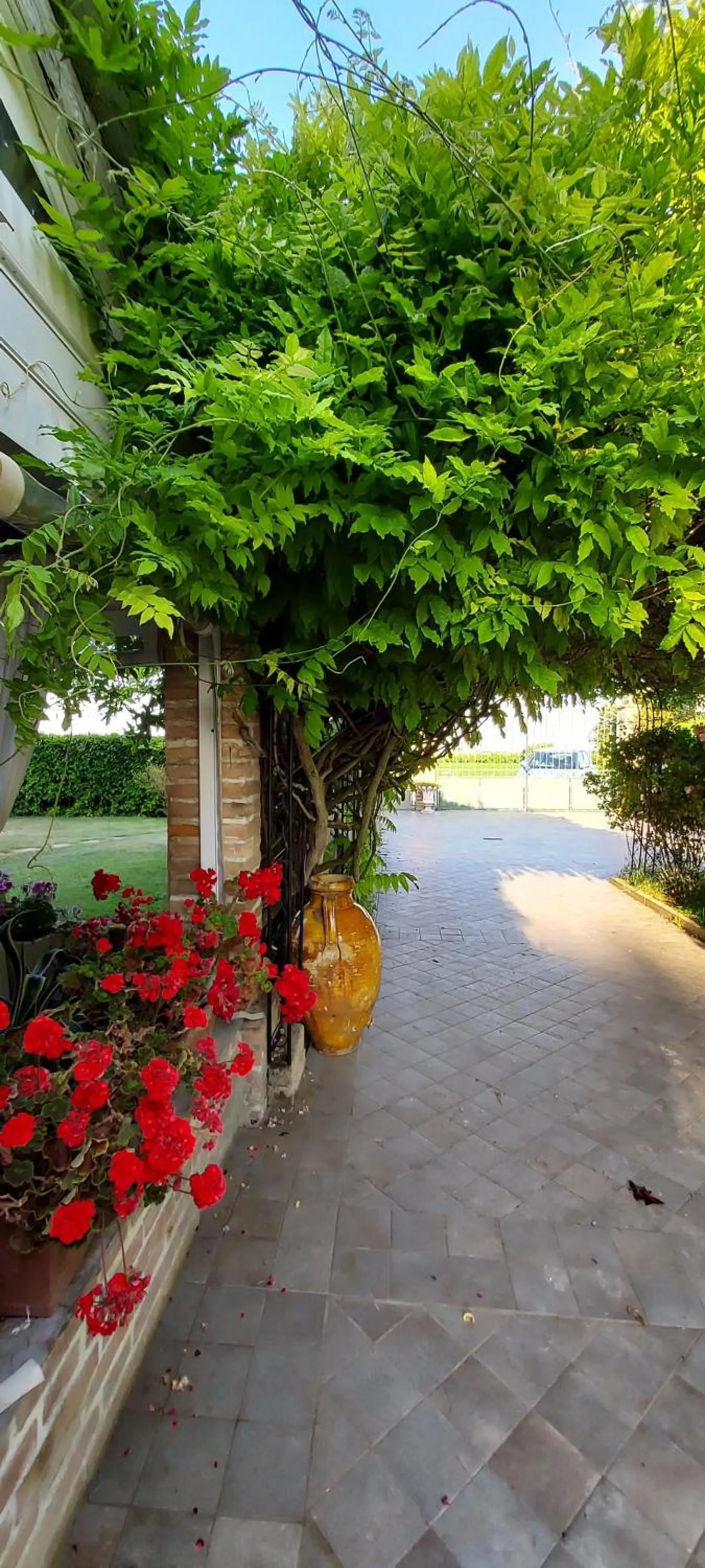 Spring in B&B Abracadabra