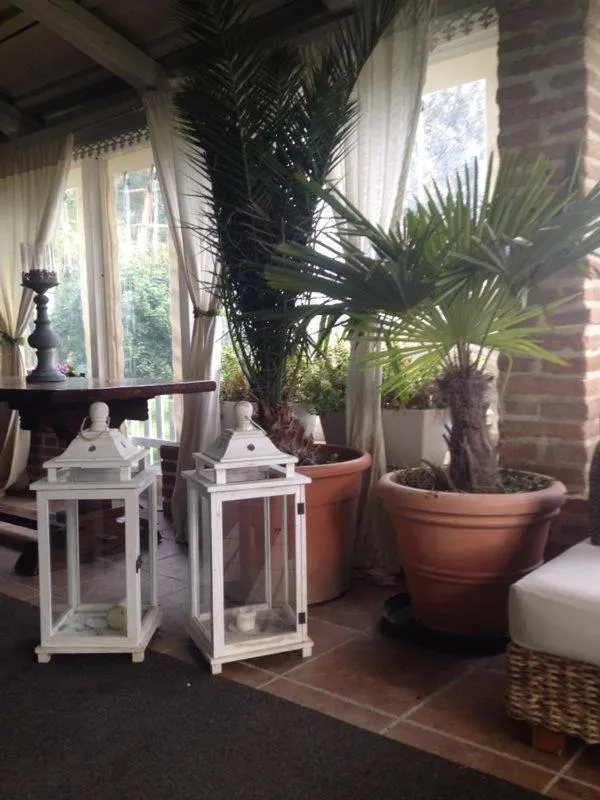 Patio in B&B Abracadabra