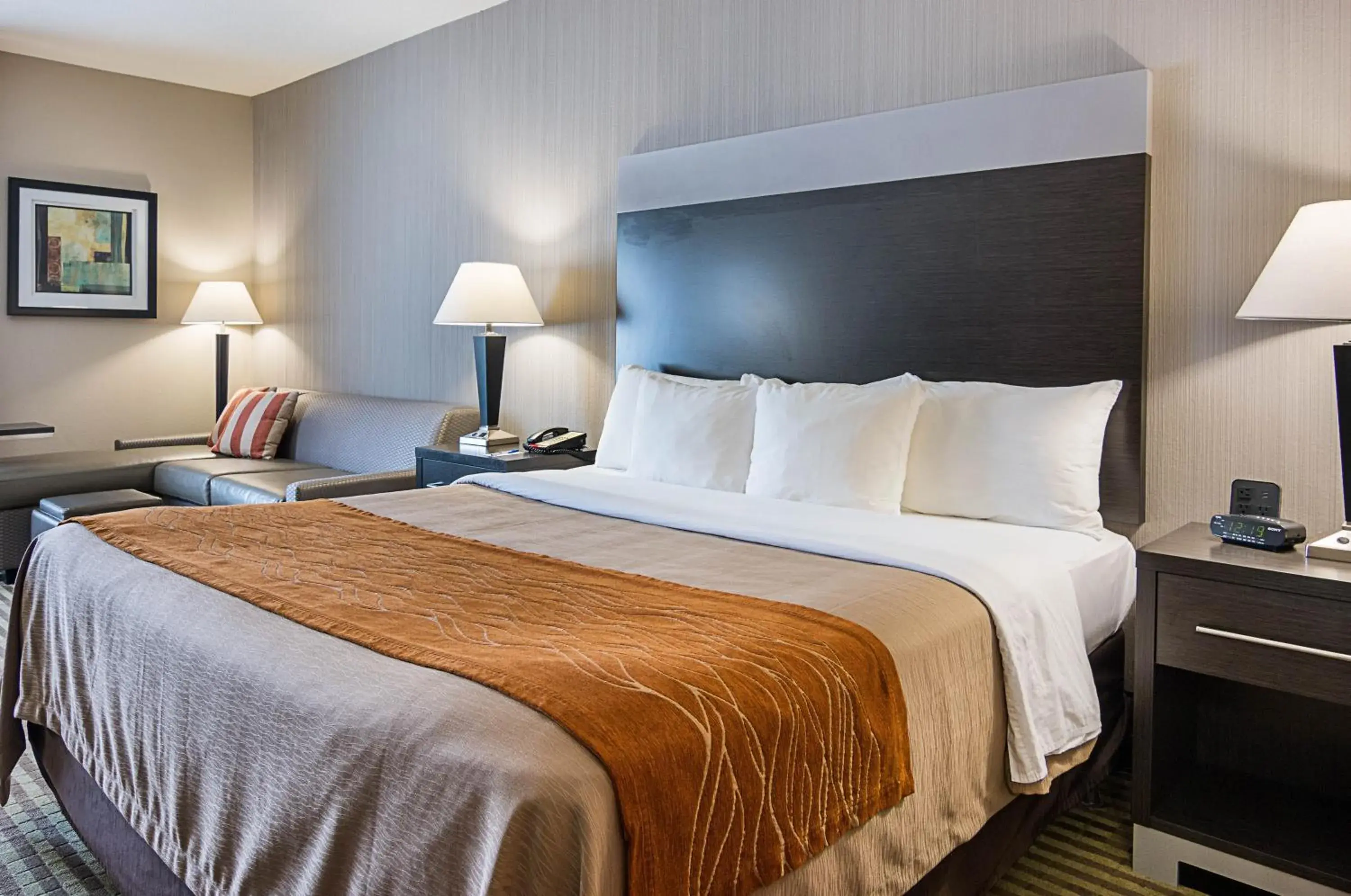 Standard King Room - Non-Smoking in Comfort Inn Camden Standard King Room - Non-Smoking in Comfort Inn Camden