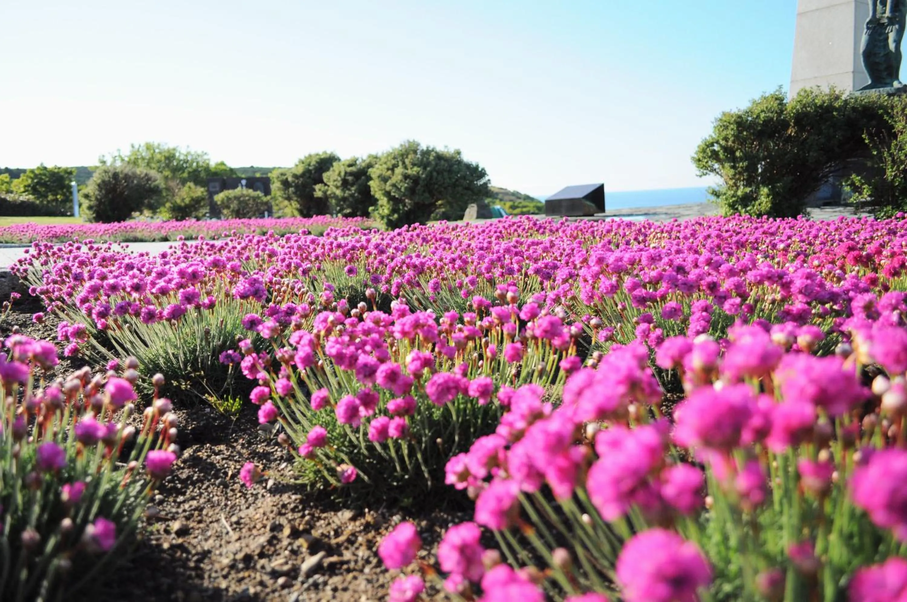 Off site in Hotel Saharin