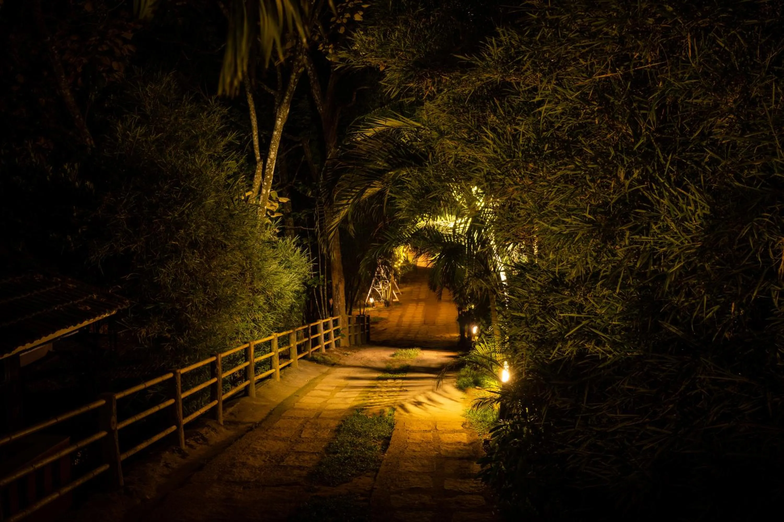 Night in Lakkidi Village Resort Wayanad