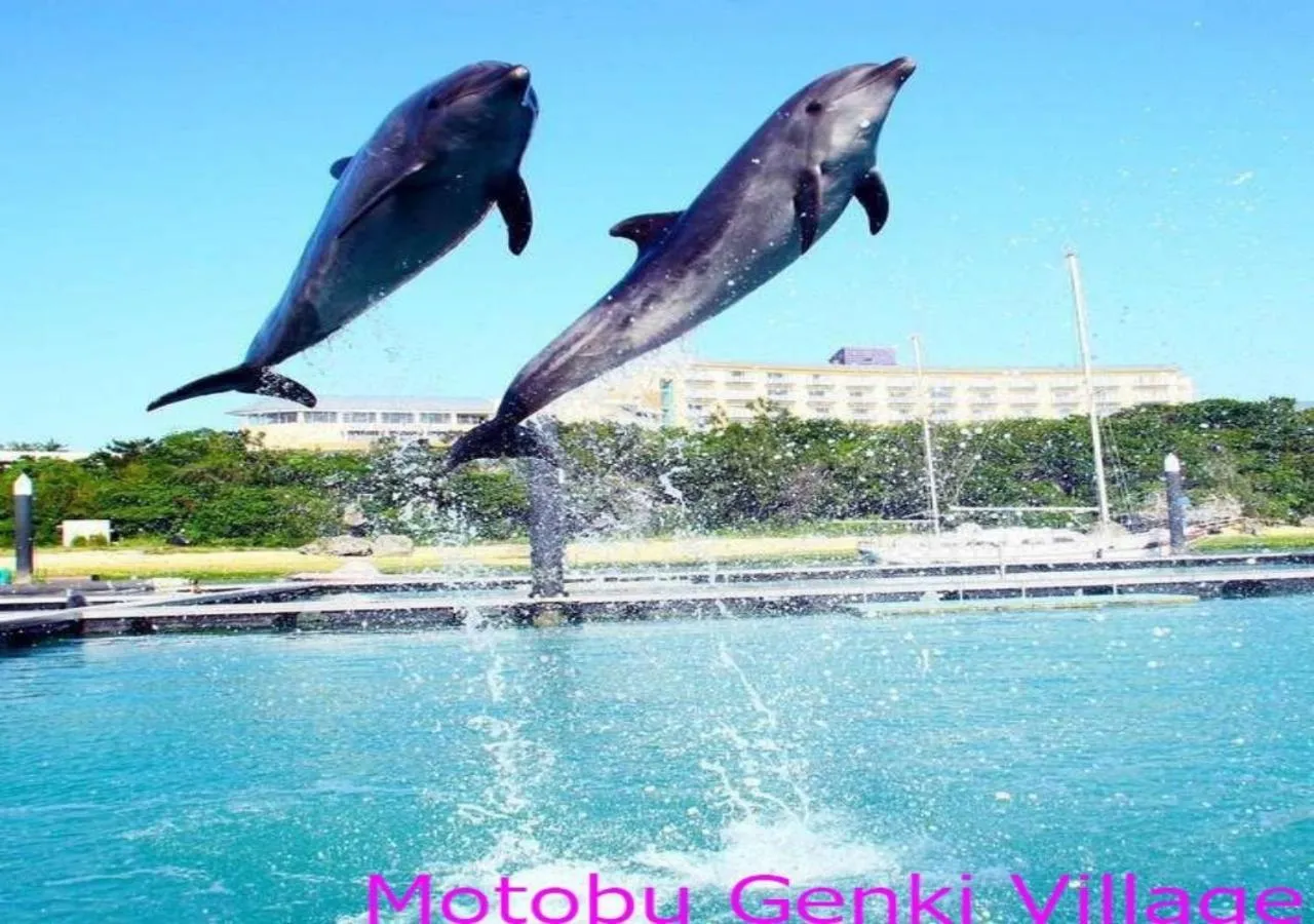 Area and facilities in Marine Piazza Okinawa