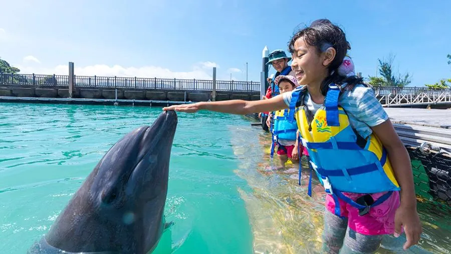 Marine Piazza Okinawa