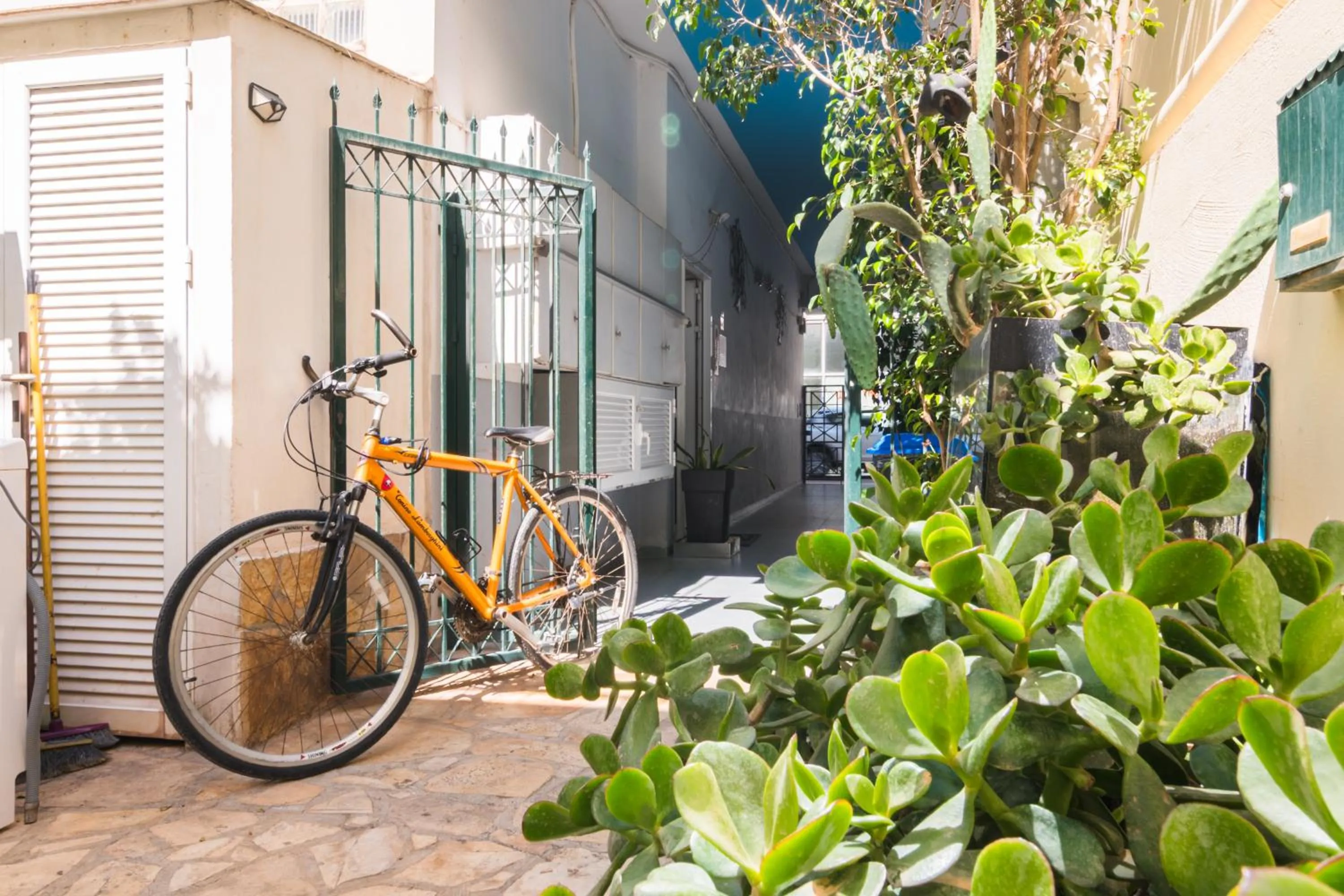 Garden in Alena Apartments