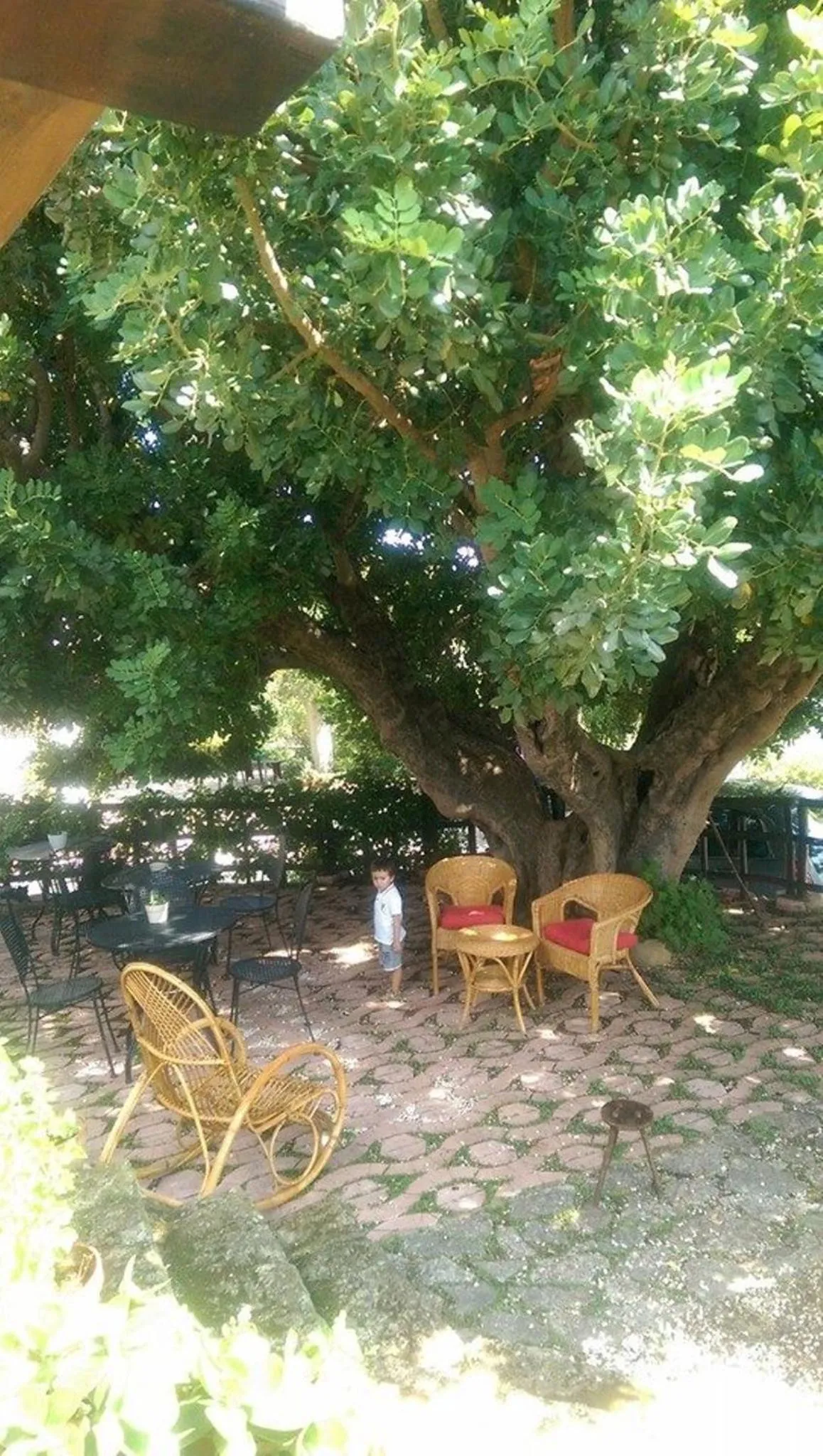 Area and facilities in B&B La Scapola