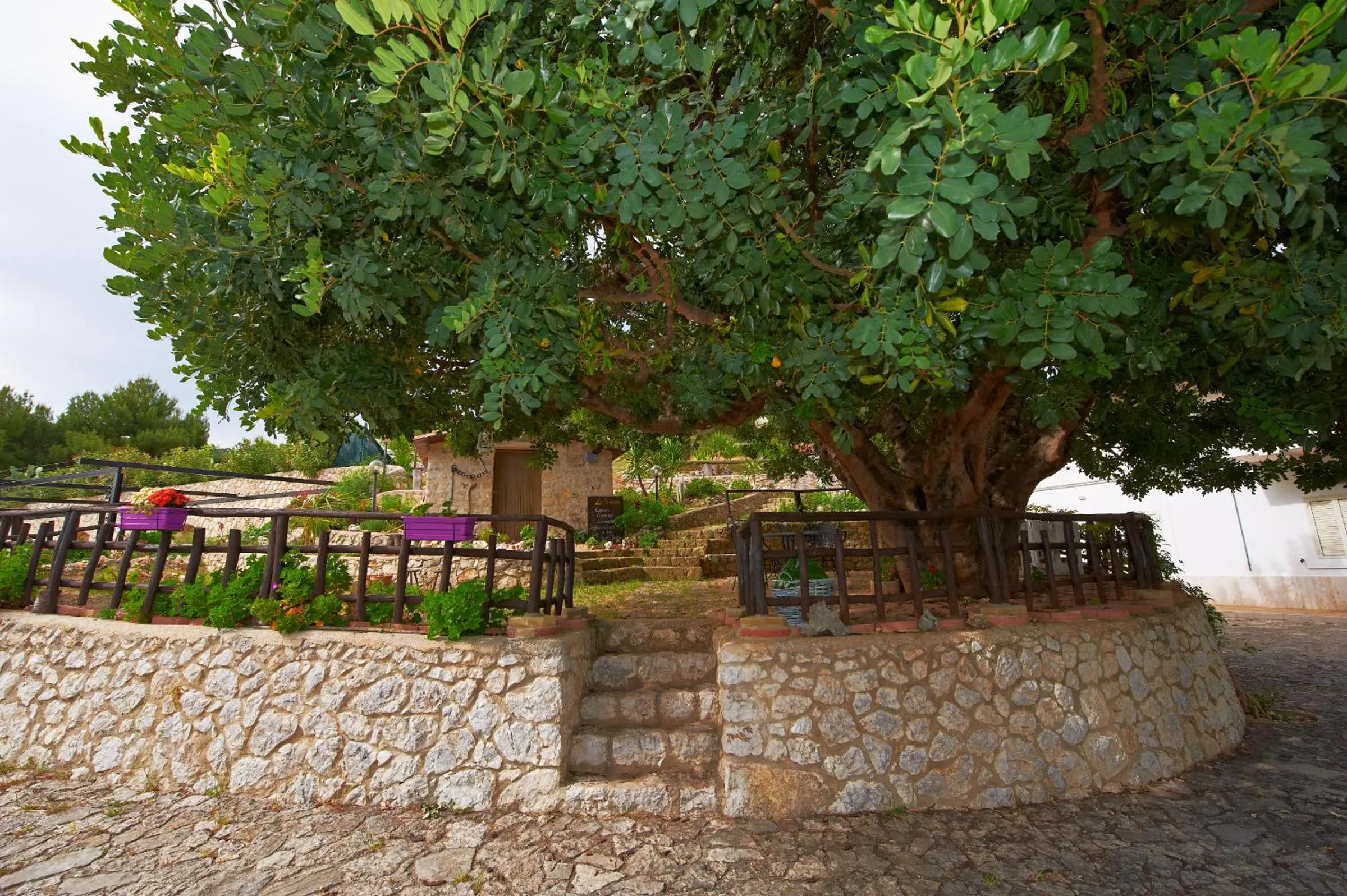 Garden in B&B La Scapola