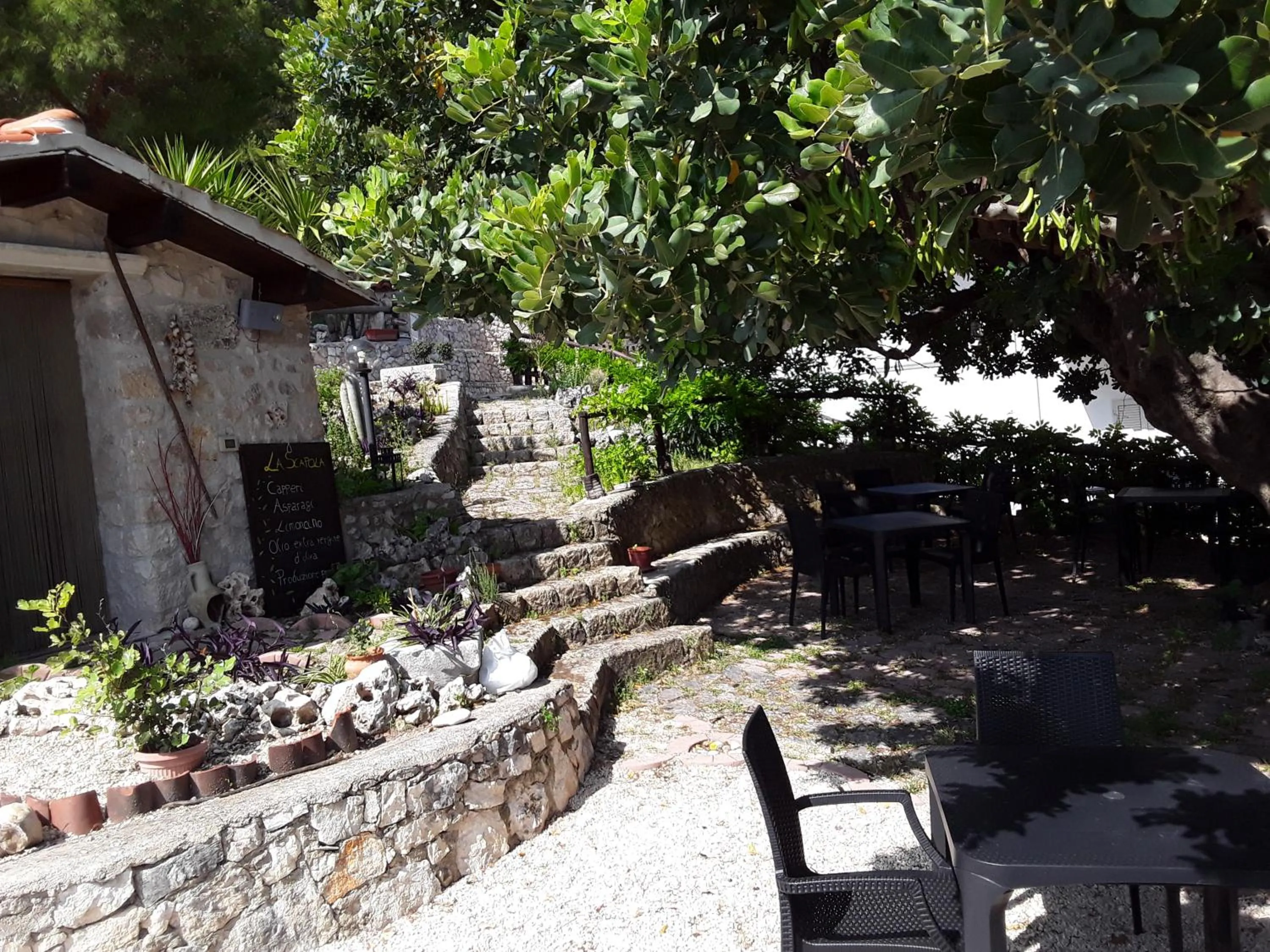 Garden view in B&B La Scapola