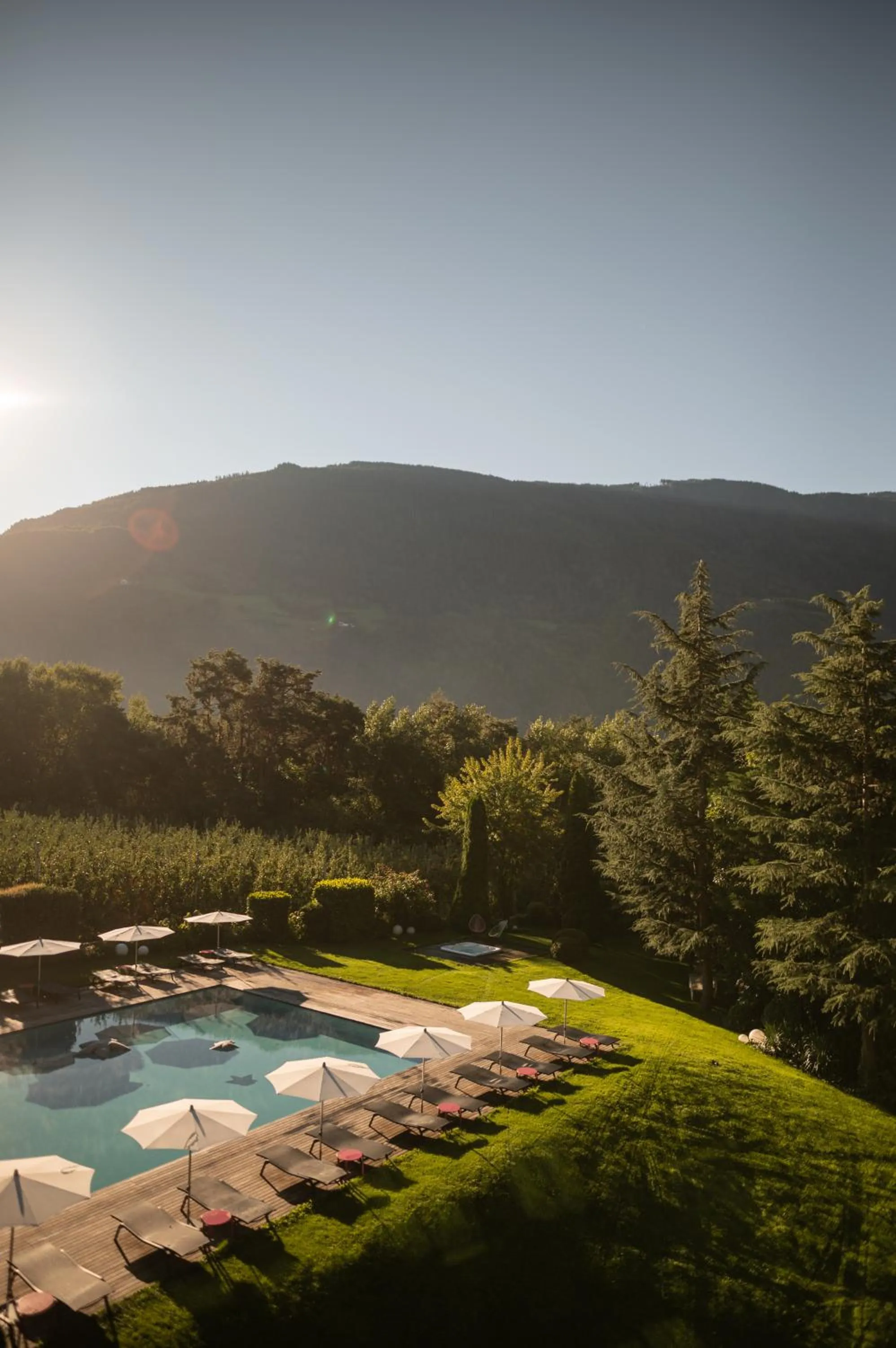 Swimming pool in Design Hotel Tyrol
