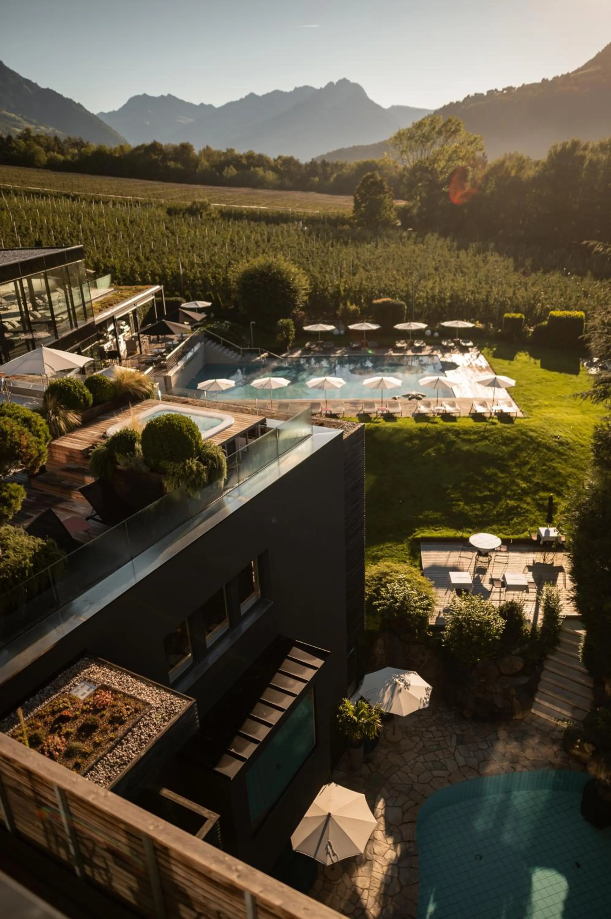 Swimming pool in Design Hotel Tyrol