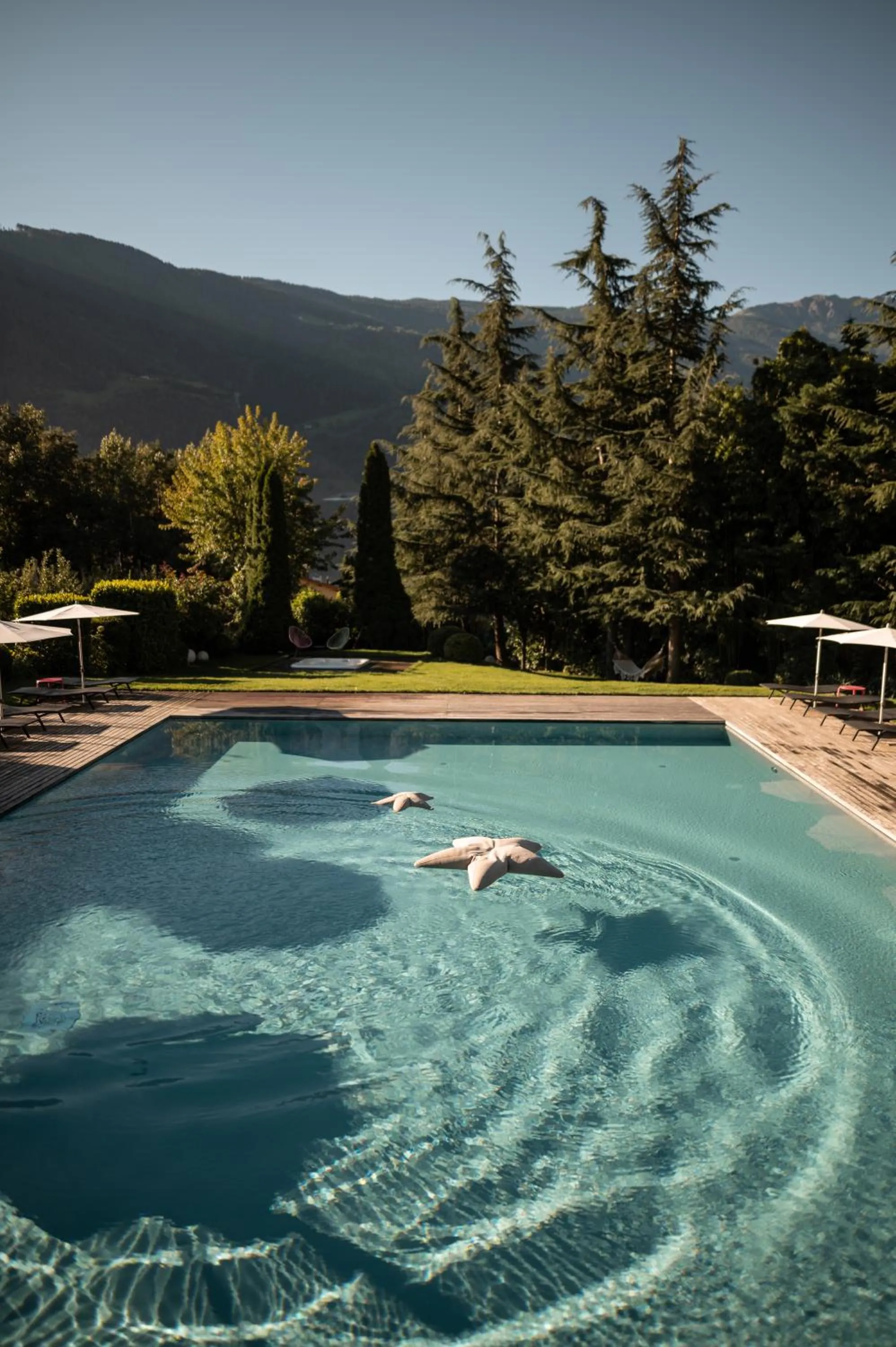 Swimming pool in Design Hotel Tyrol