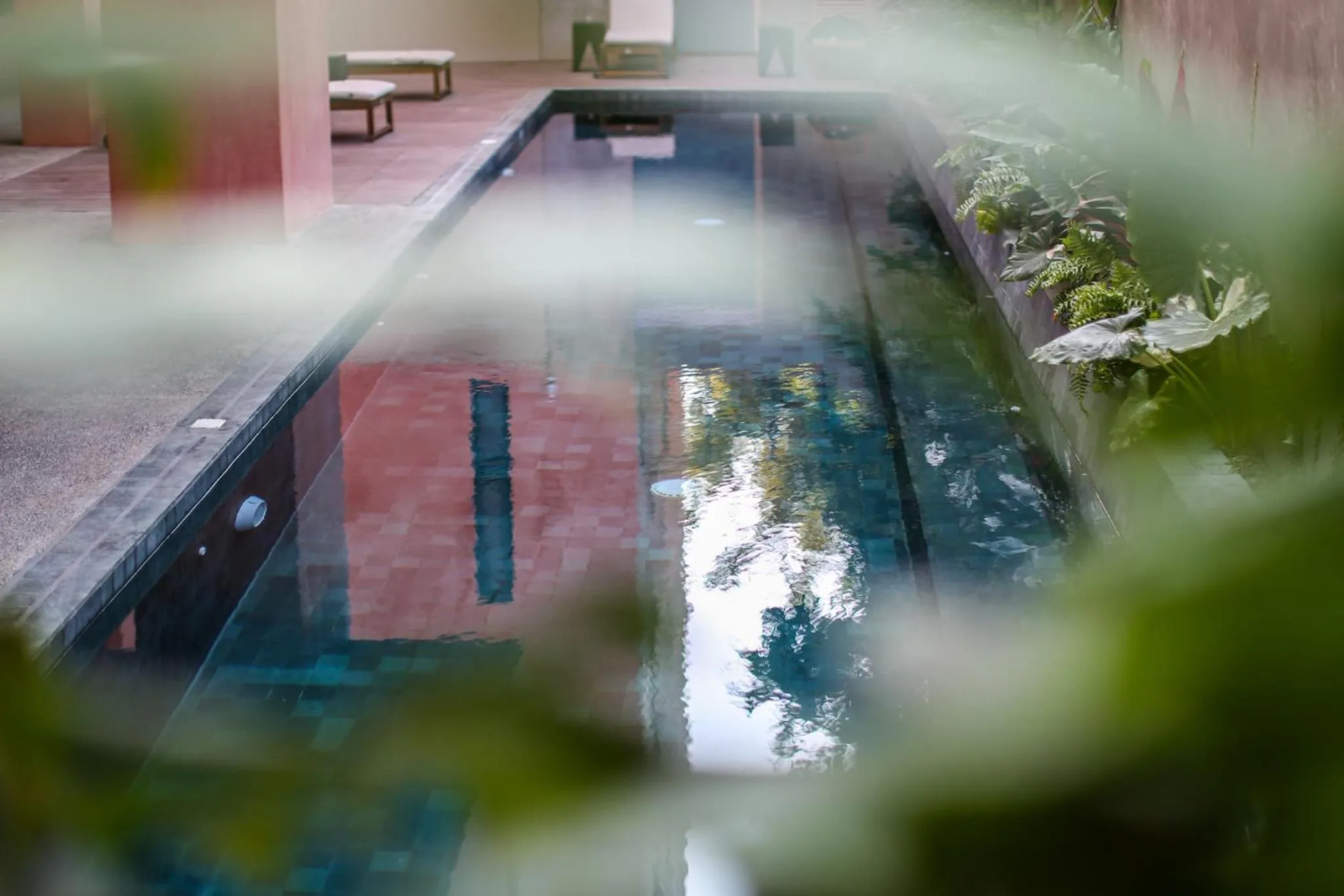 Garden in Casa Toro La Punta