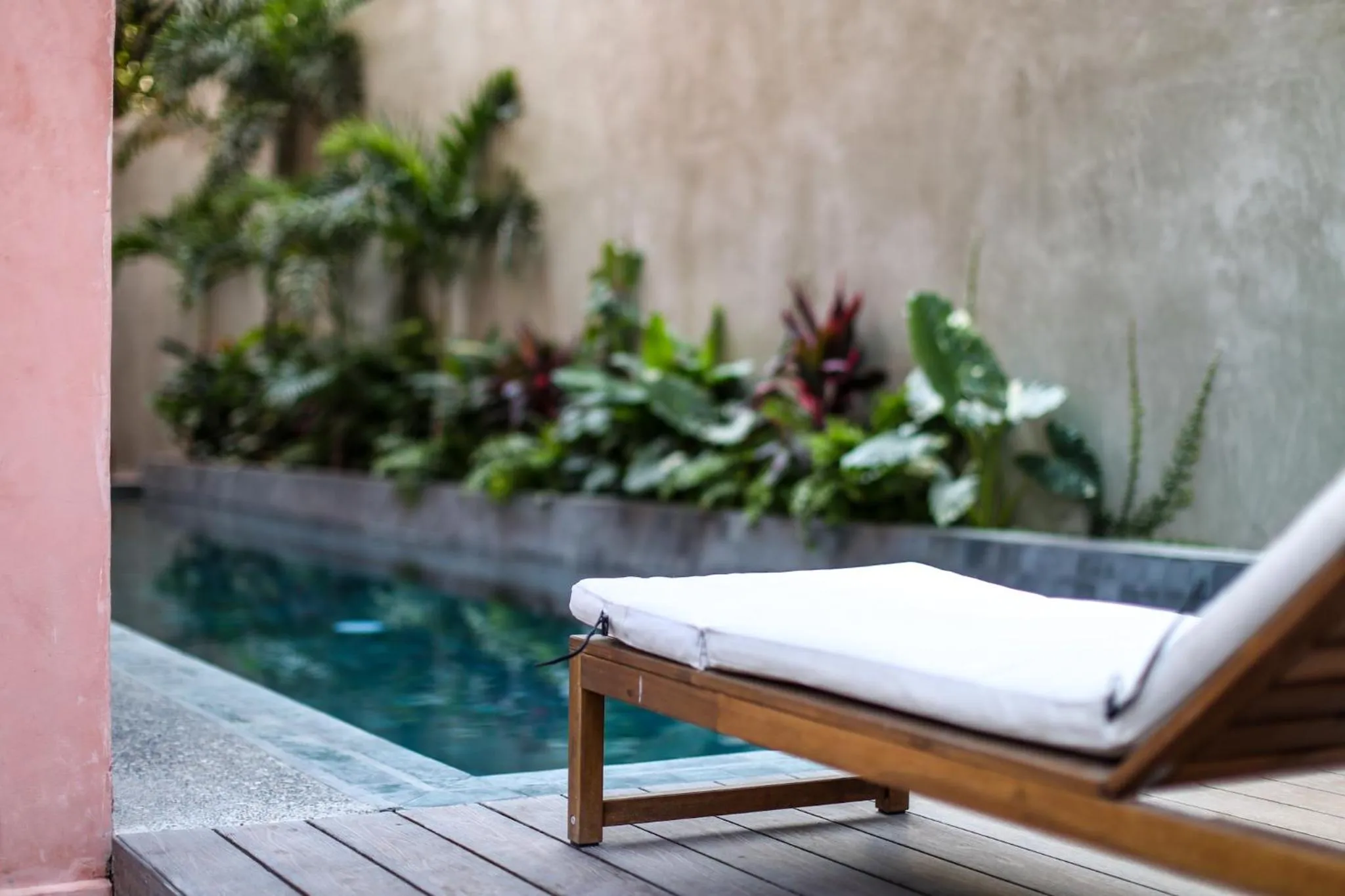 Garden in Casa Toro La Punta