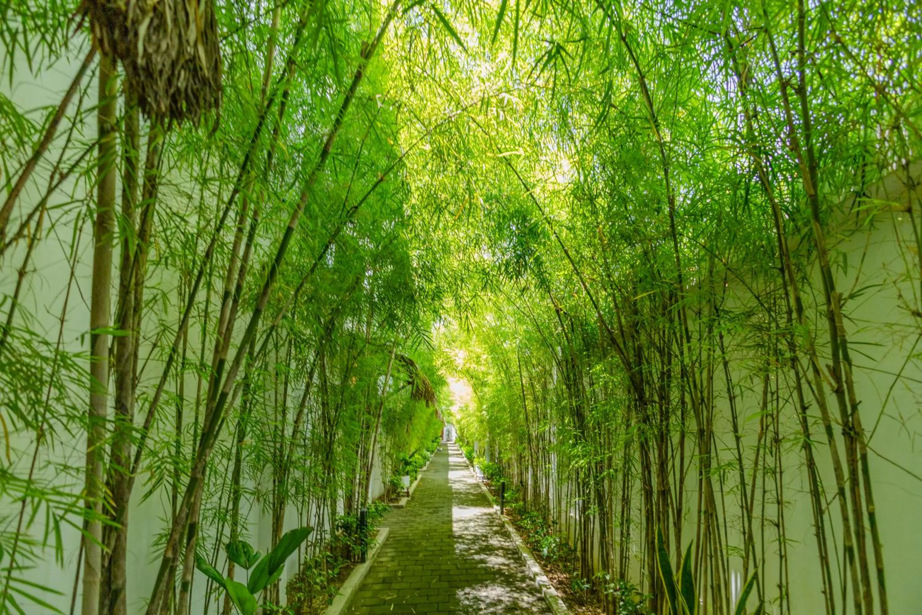 Property building in Baliterraneo Boutique Resort Seminyak