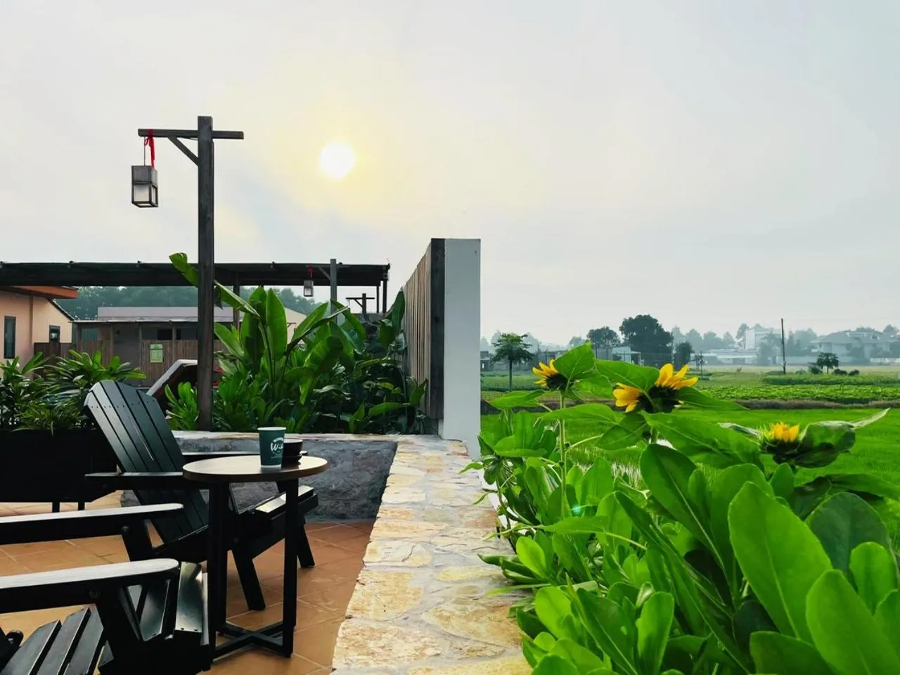 Natural landscape in Field Villa Hoàng Diệu