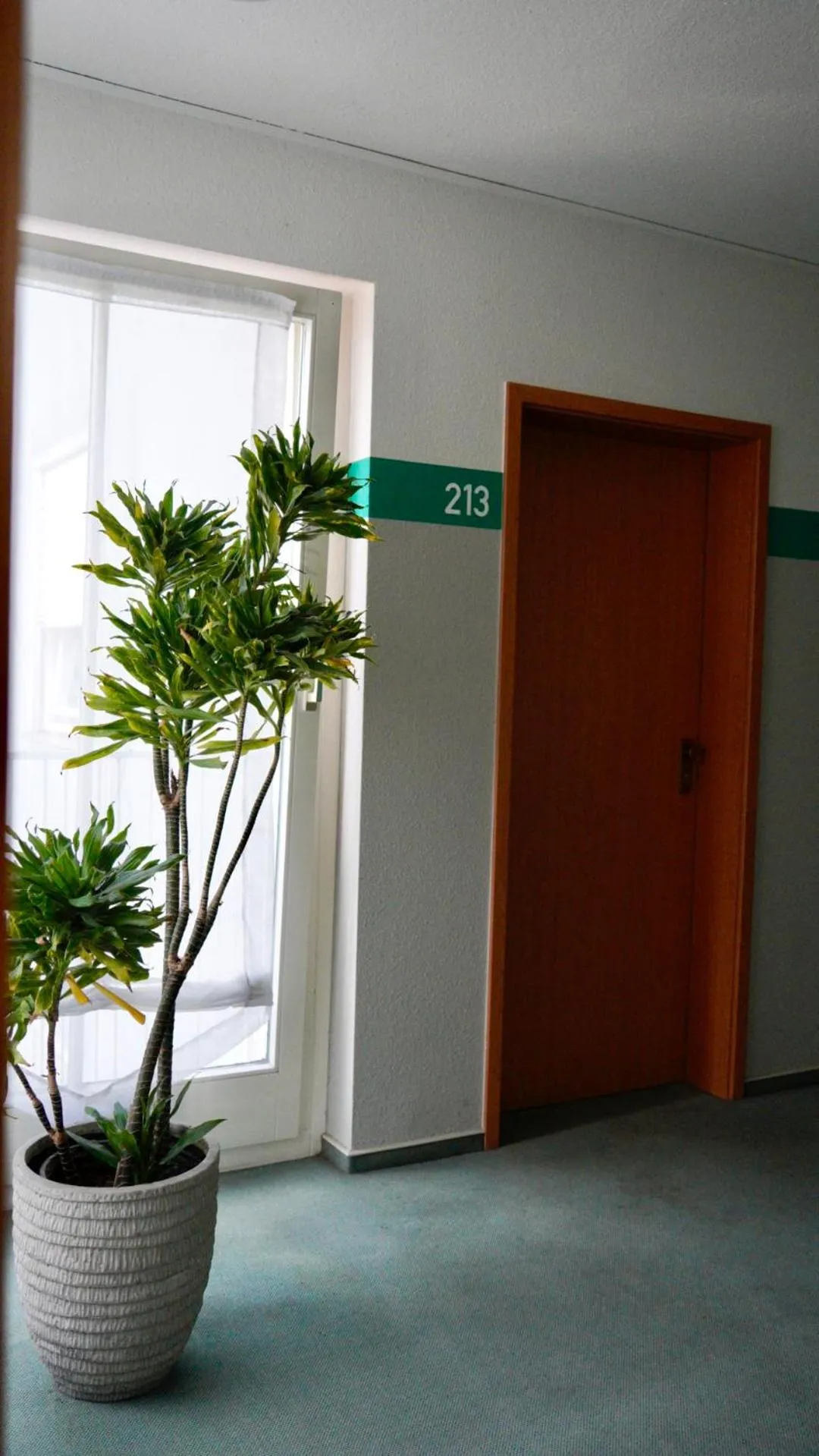 Photo of the whole room in Hotel am Bergl