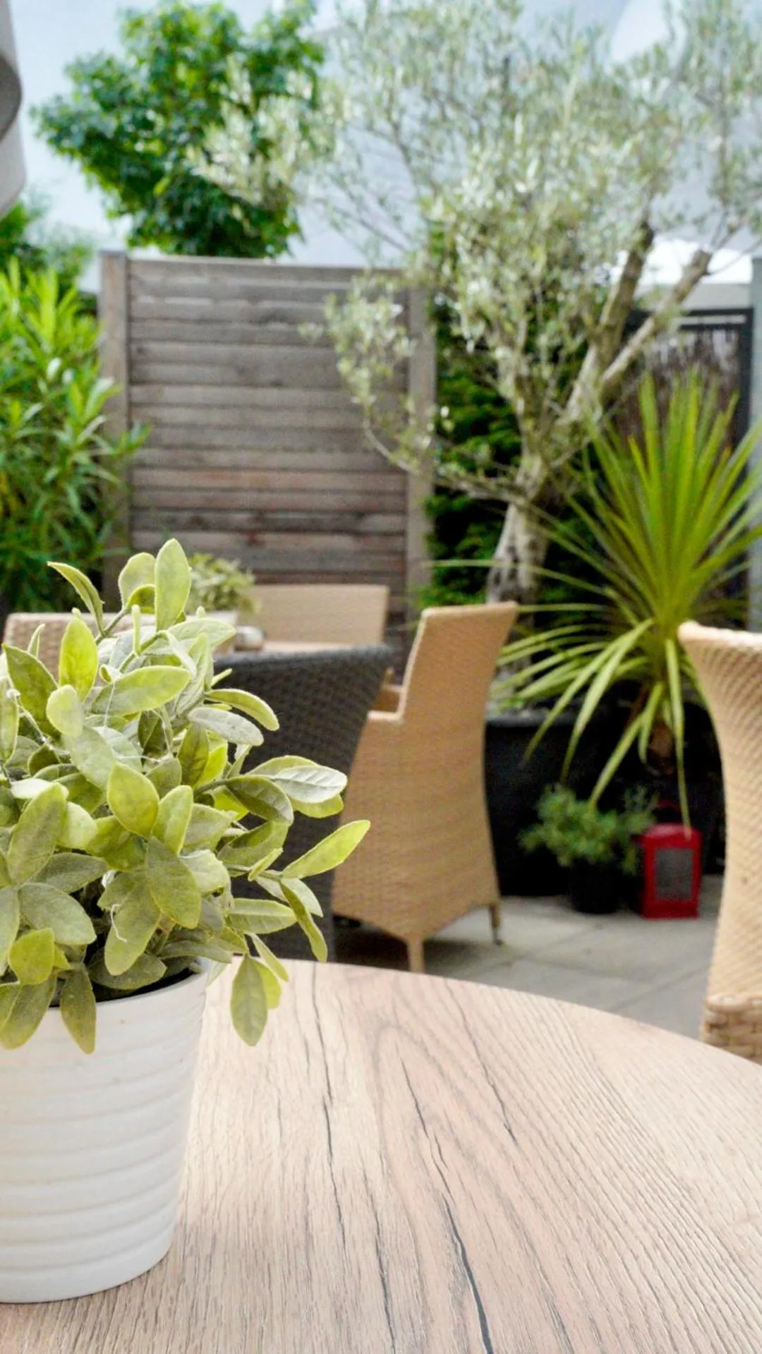 Garden in Hotel am Bergl