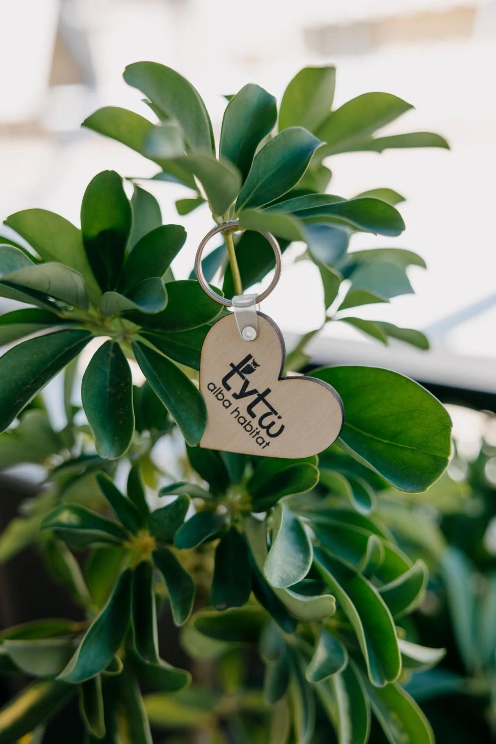 Balcony/Terrace in Tyto Alba Habitat