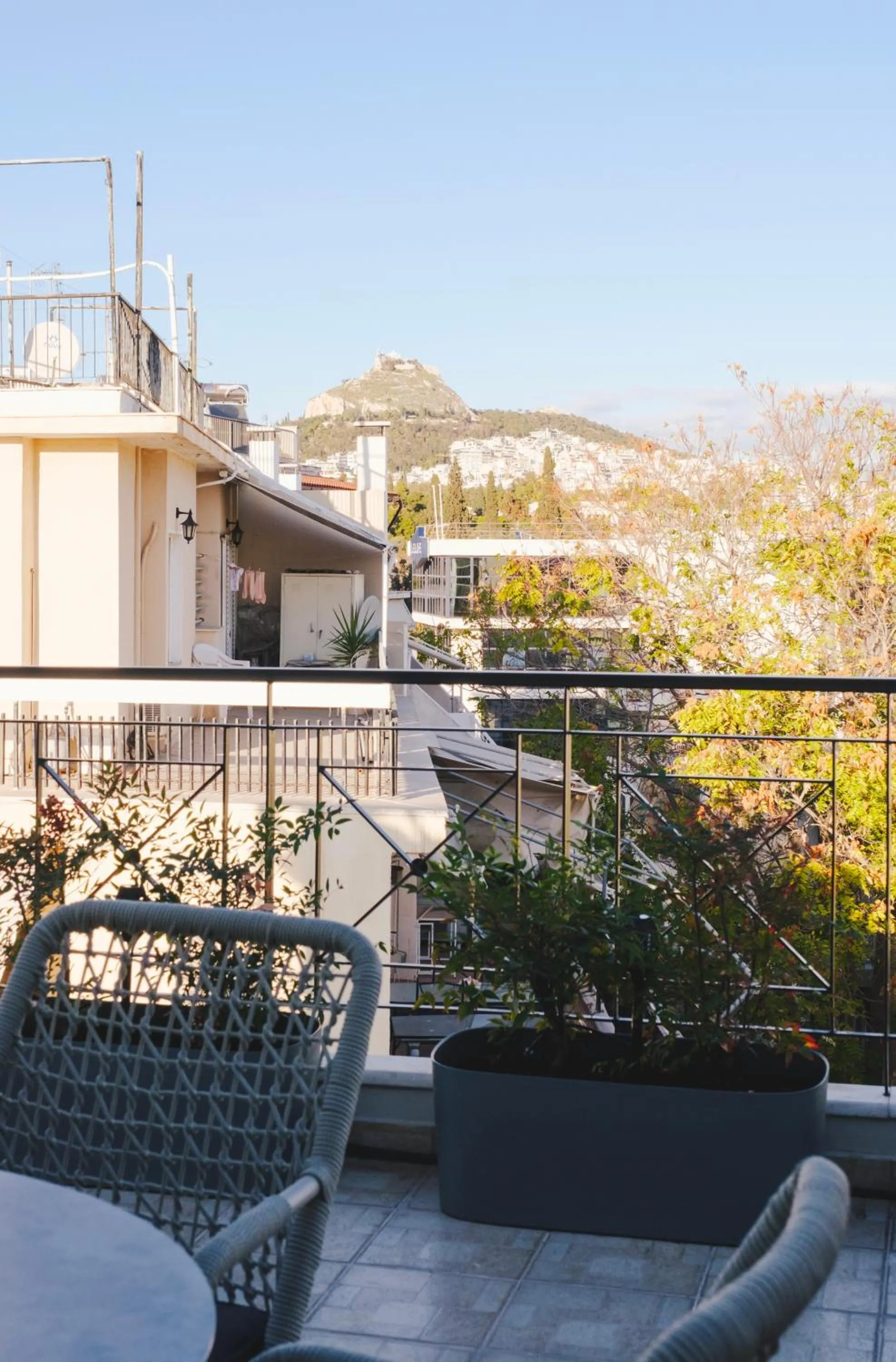 Day in Tyto Alba Habitat