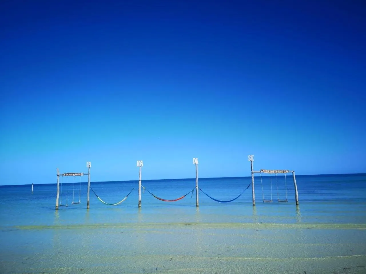 Natural landscape in Ensueño Holbox & Beach Club