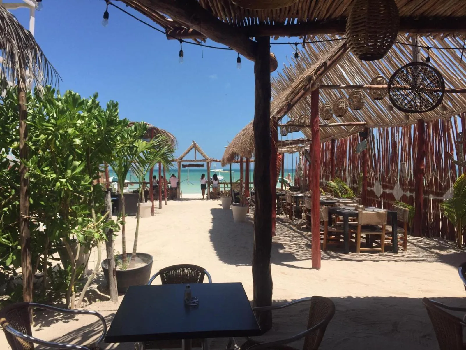 Restaurant/places to eat in Ensueño Holbox & Beach Club