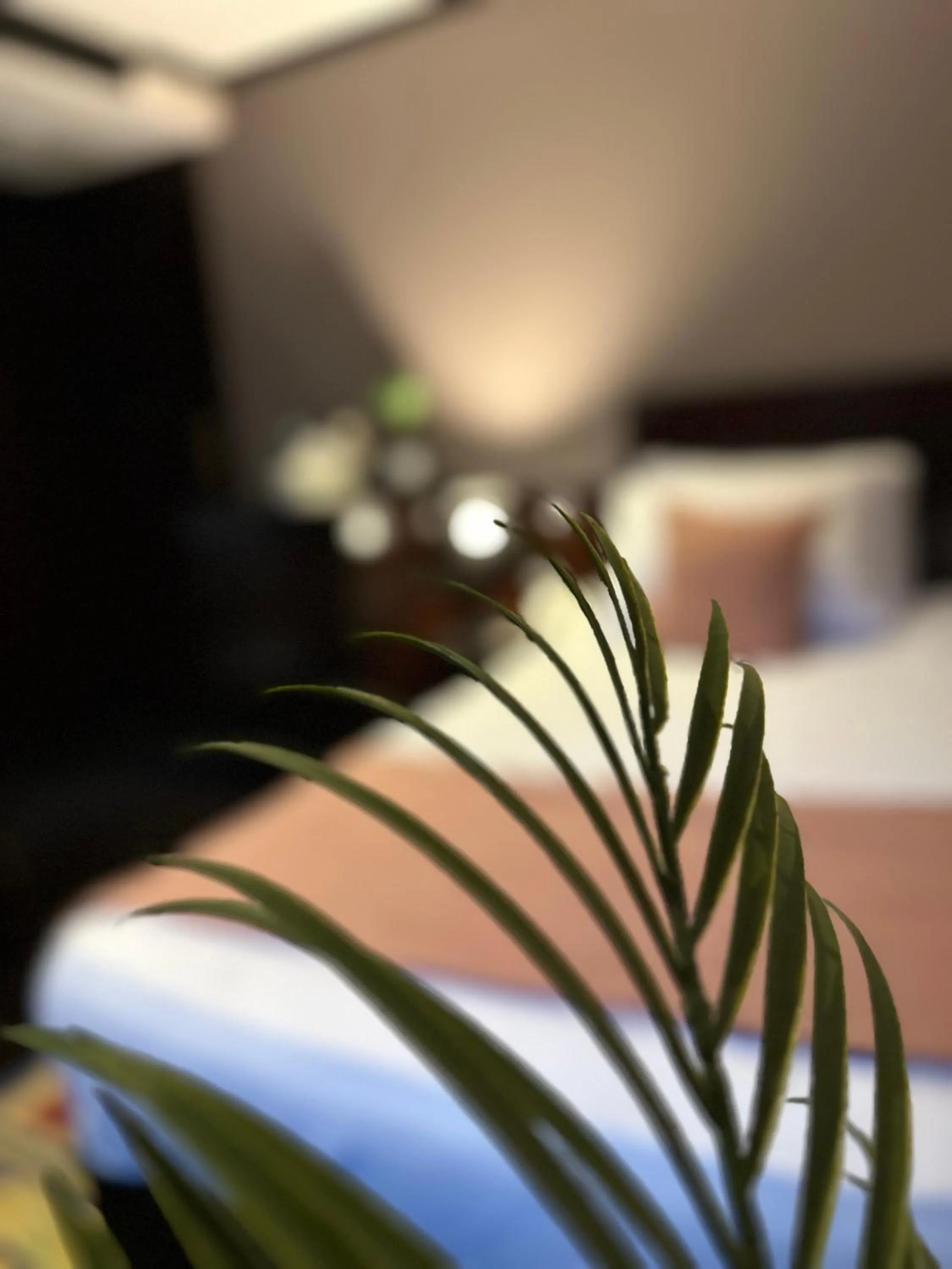 Bed in YOU Nile View Hotel