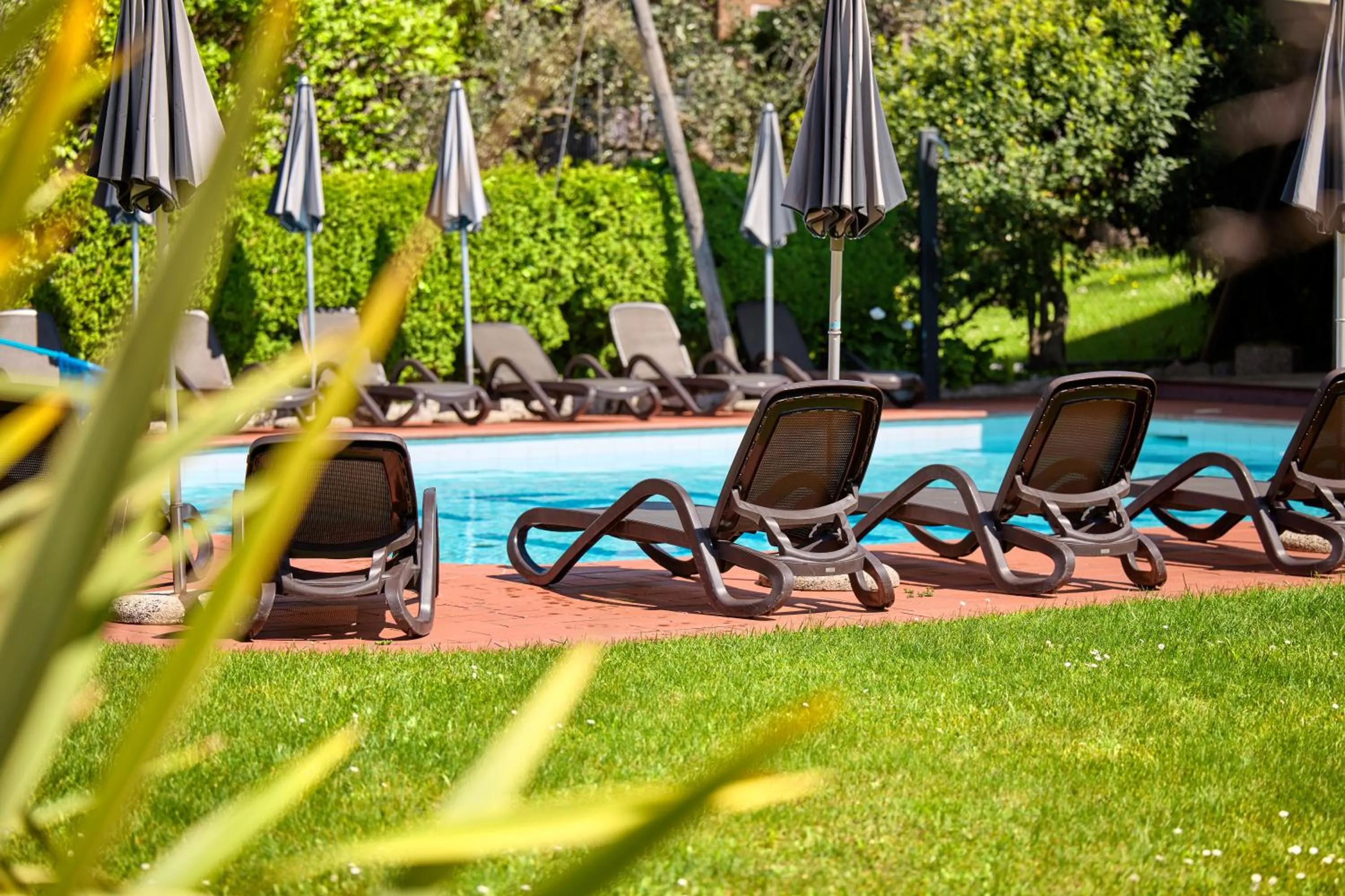 sunbed in Hotel Luna Rossa