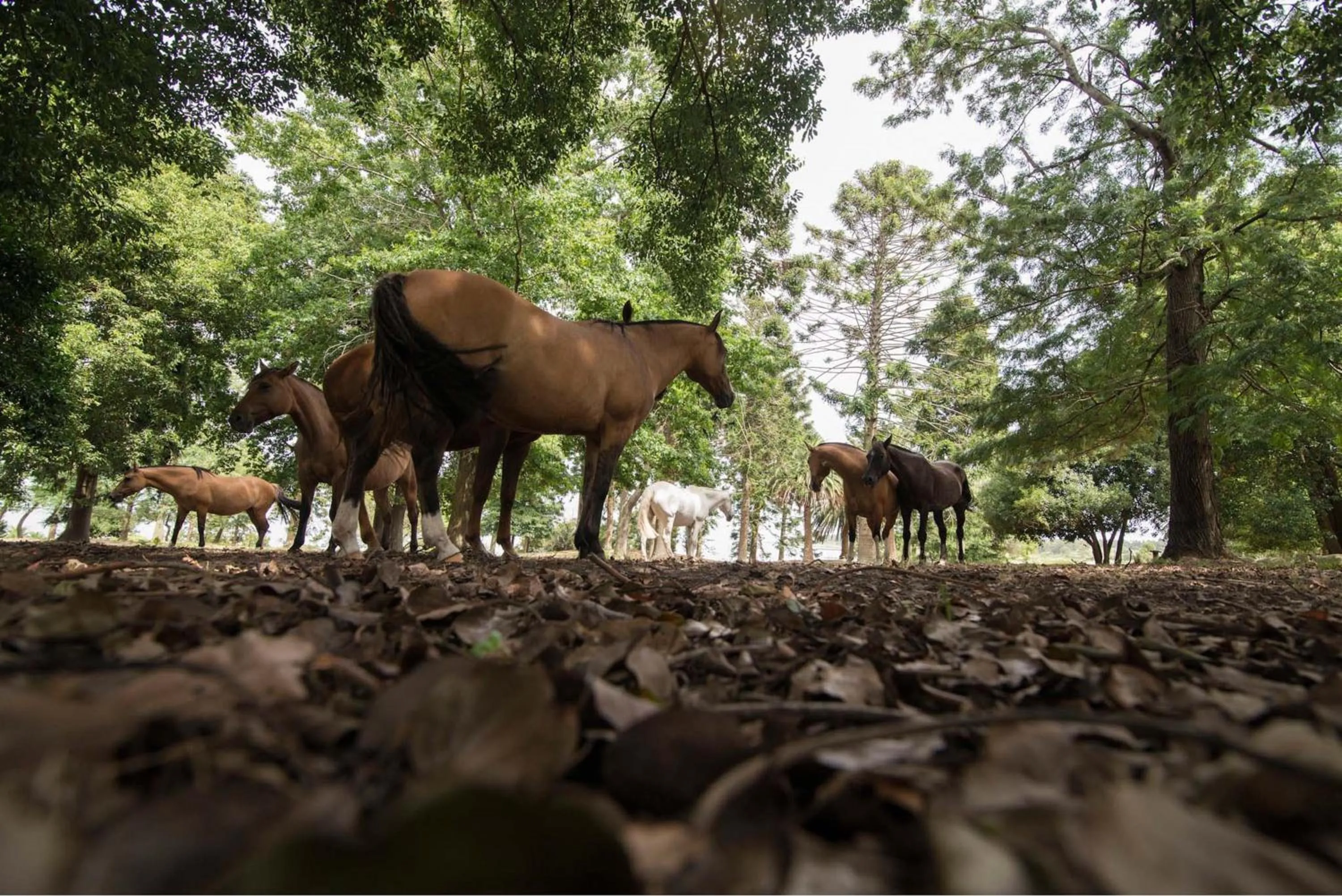 Natural landscape in La Baguala