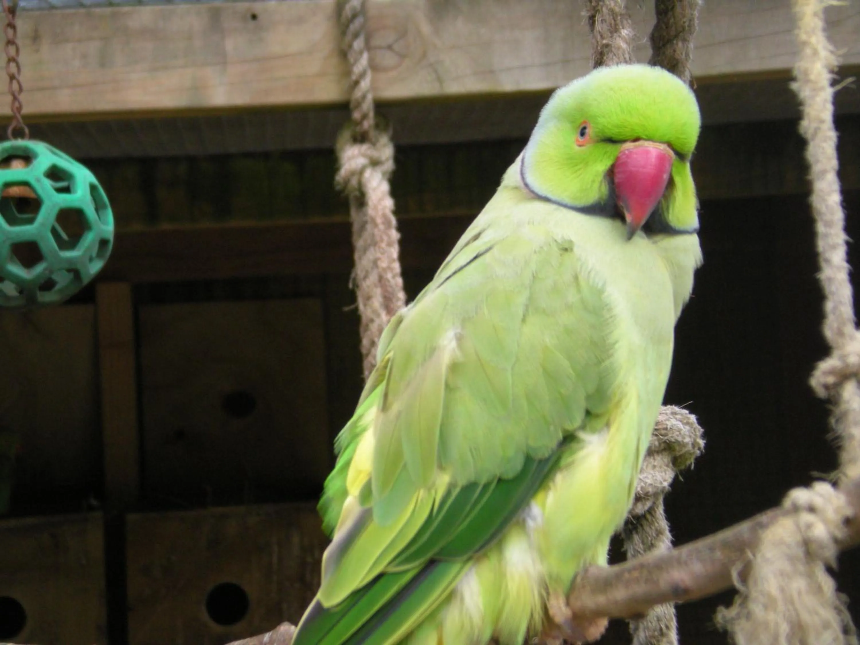 Other in Westport Kiwi Holiday Park & Motels